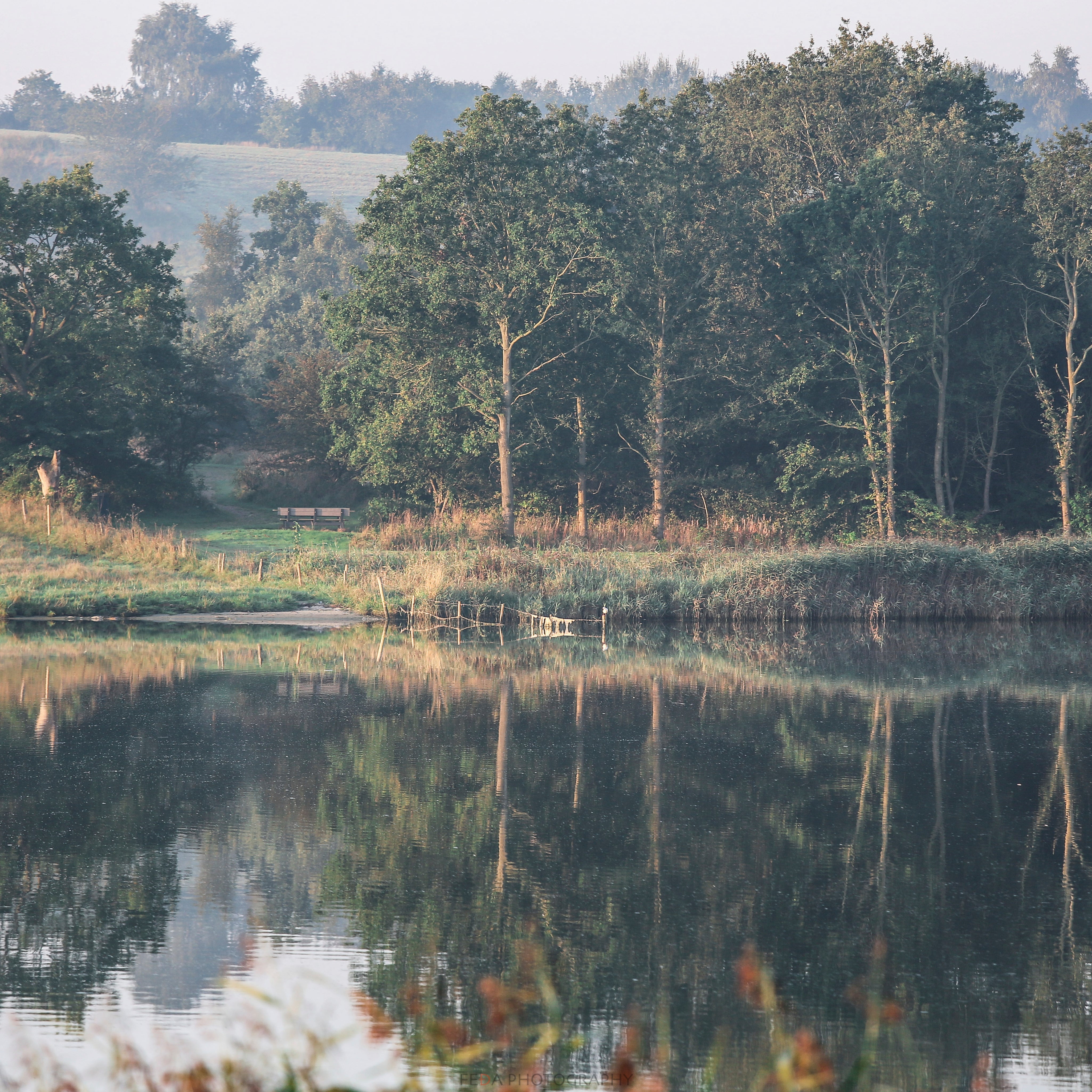 Mirrors of stillness