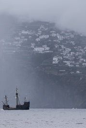 Mist and mast