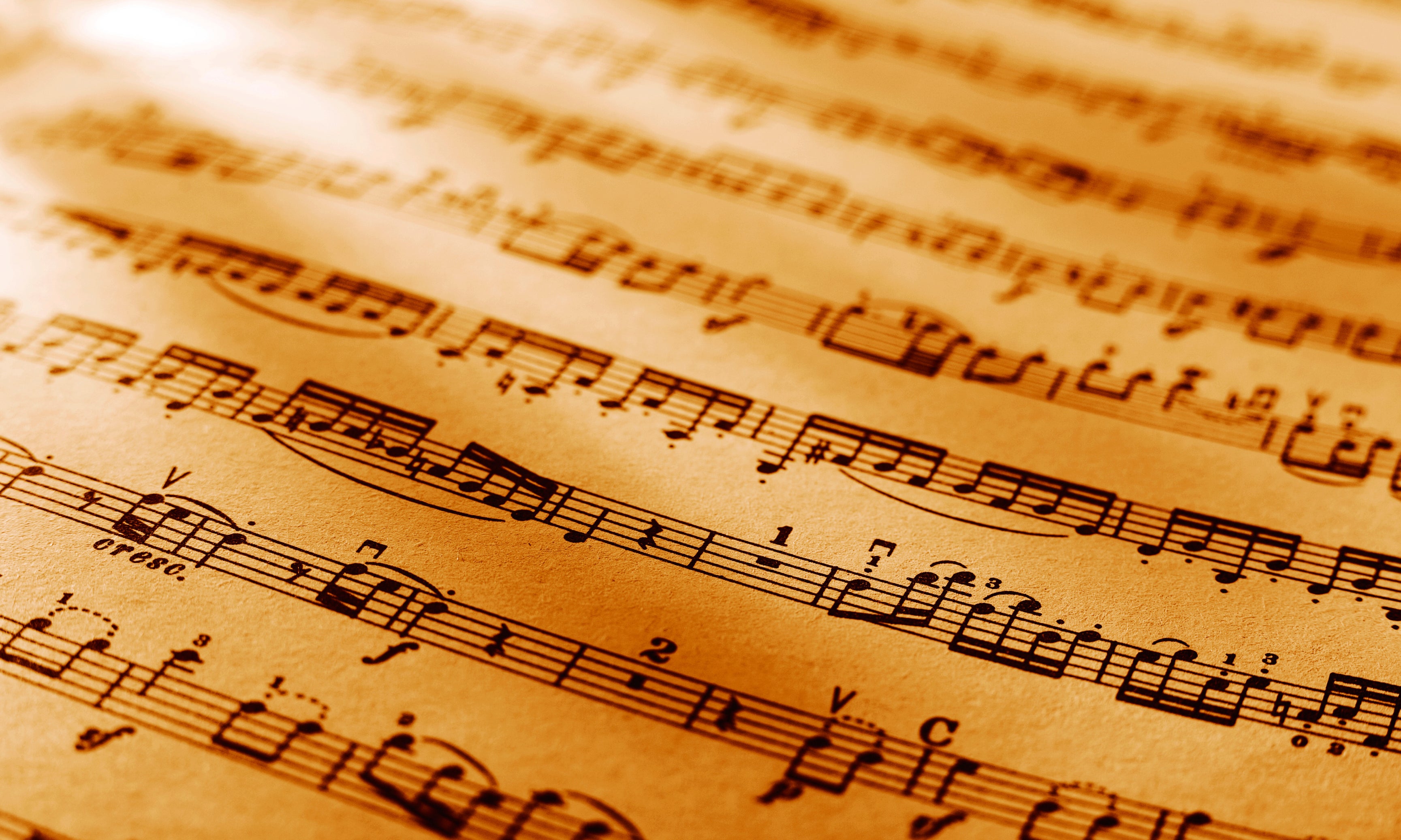 Musicinlines-120x80cm.jpg
