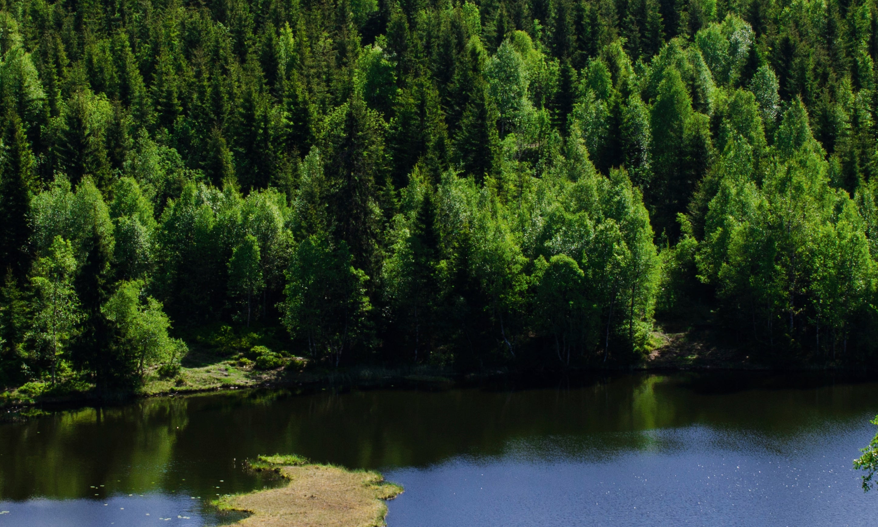 Nature_sHeart-100x150cm.jpg