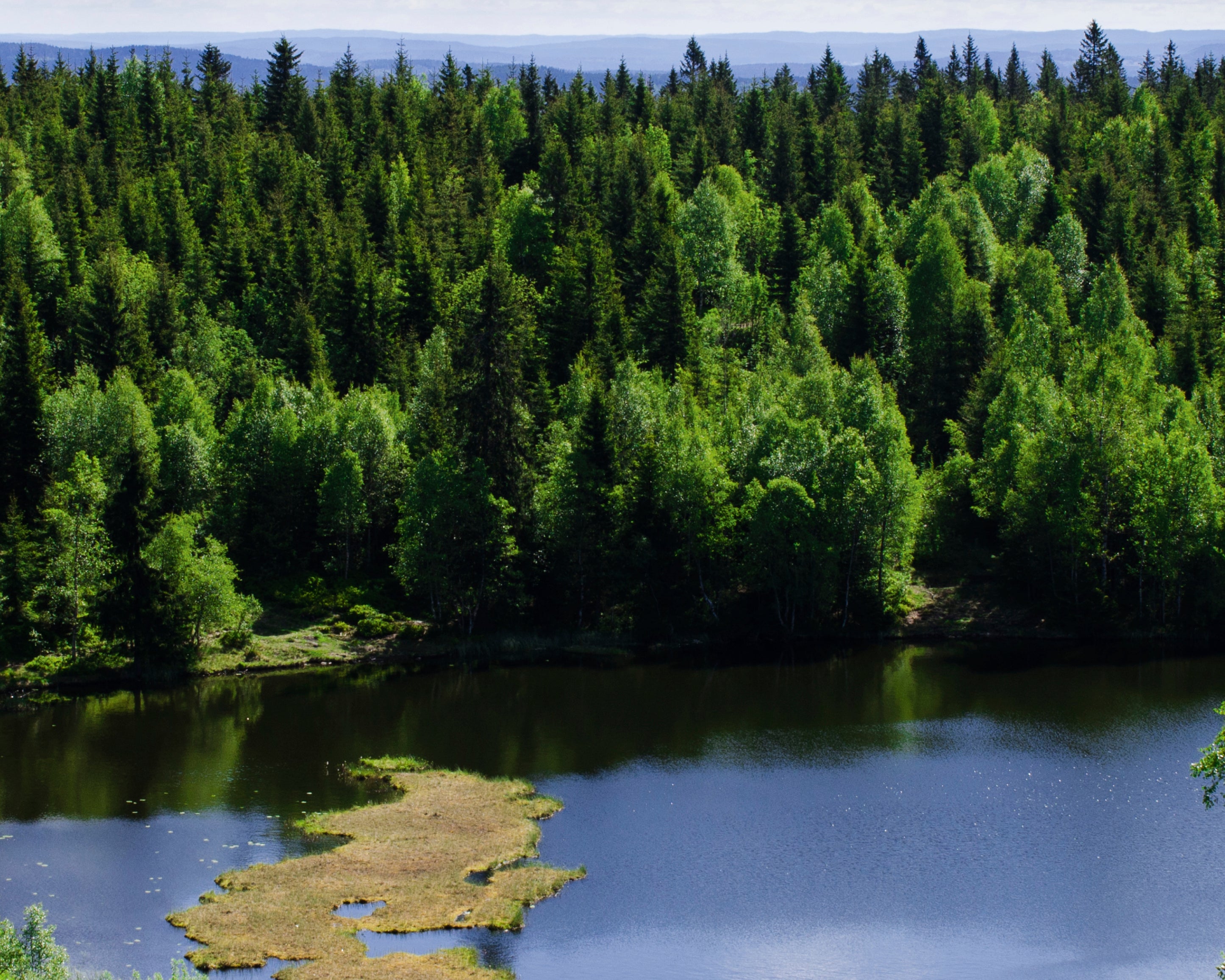 Nature_sHeart-100x150cm.jpg