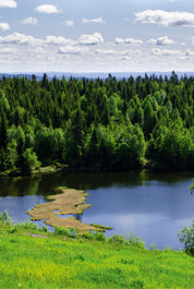 Nature’s Heart