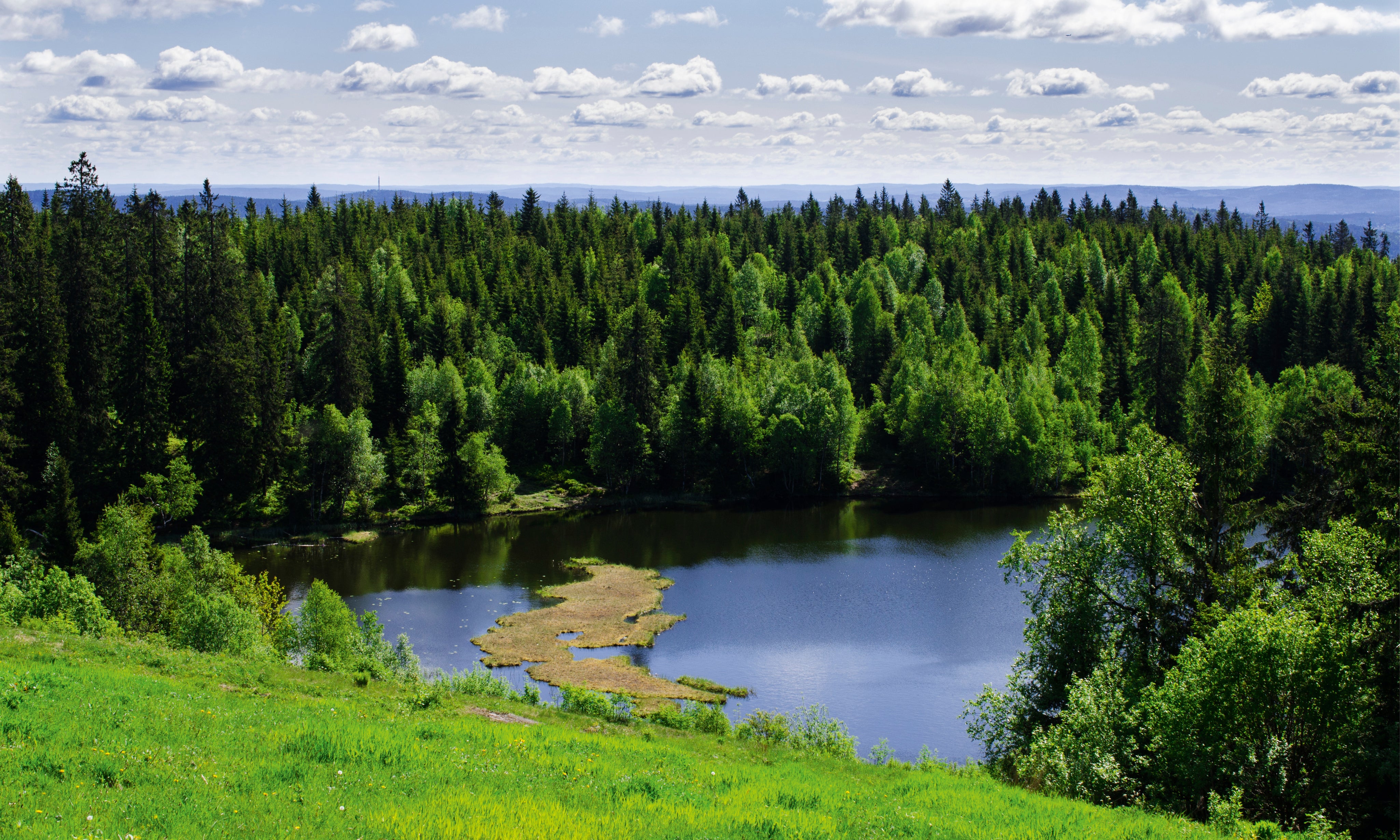 Nature_sHeart-150x100cm.jpg