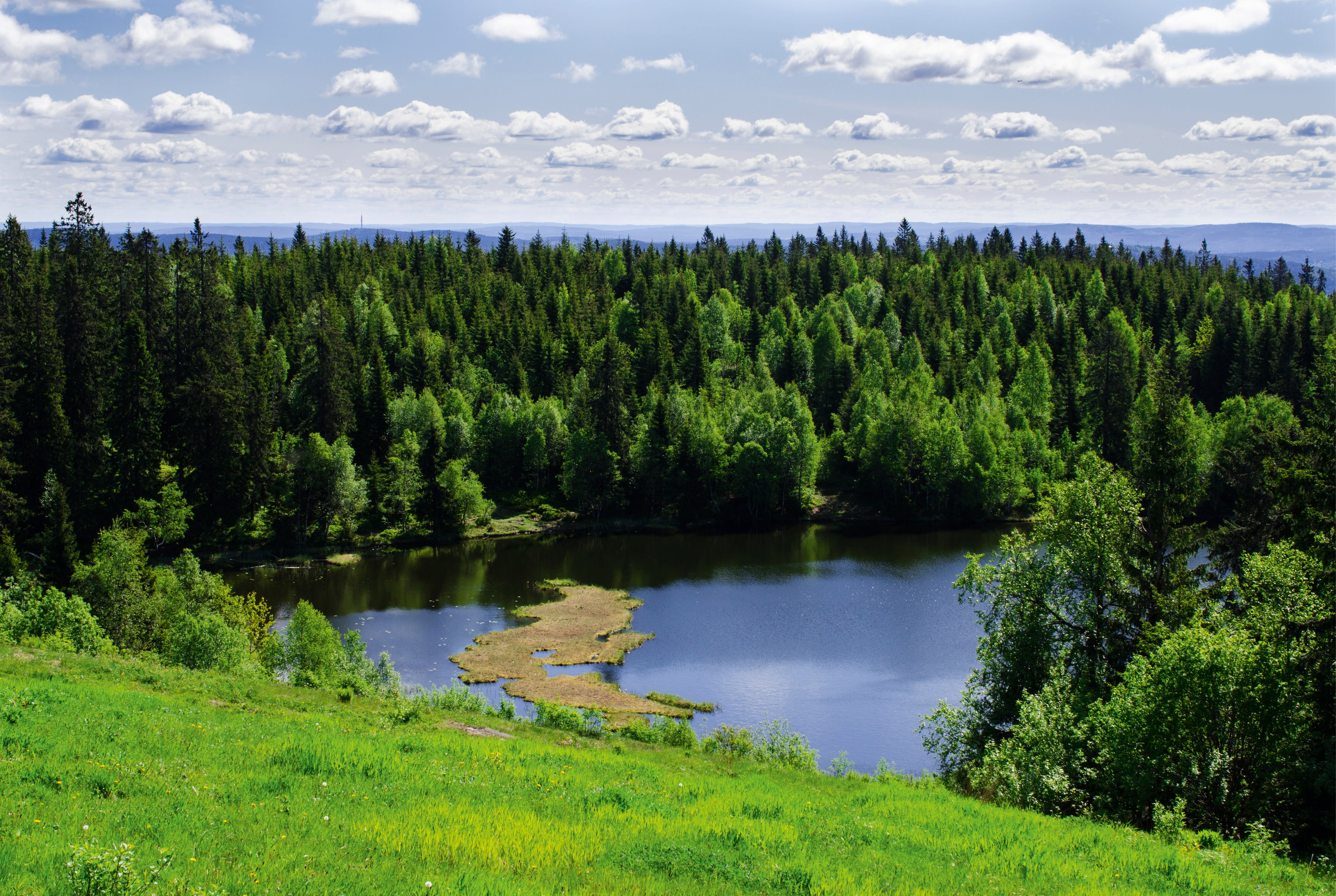 Nature_sHeart-150x100cm.jpg
