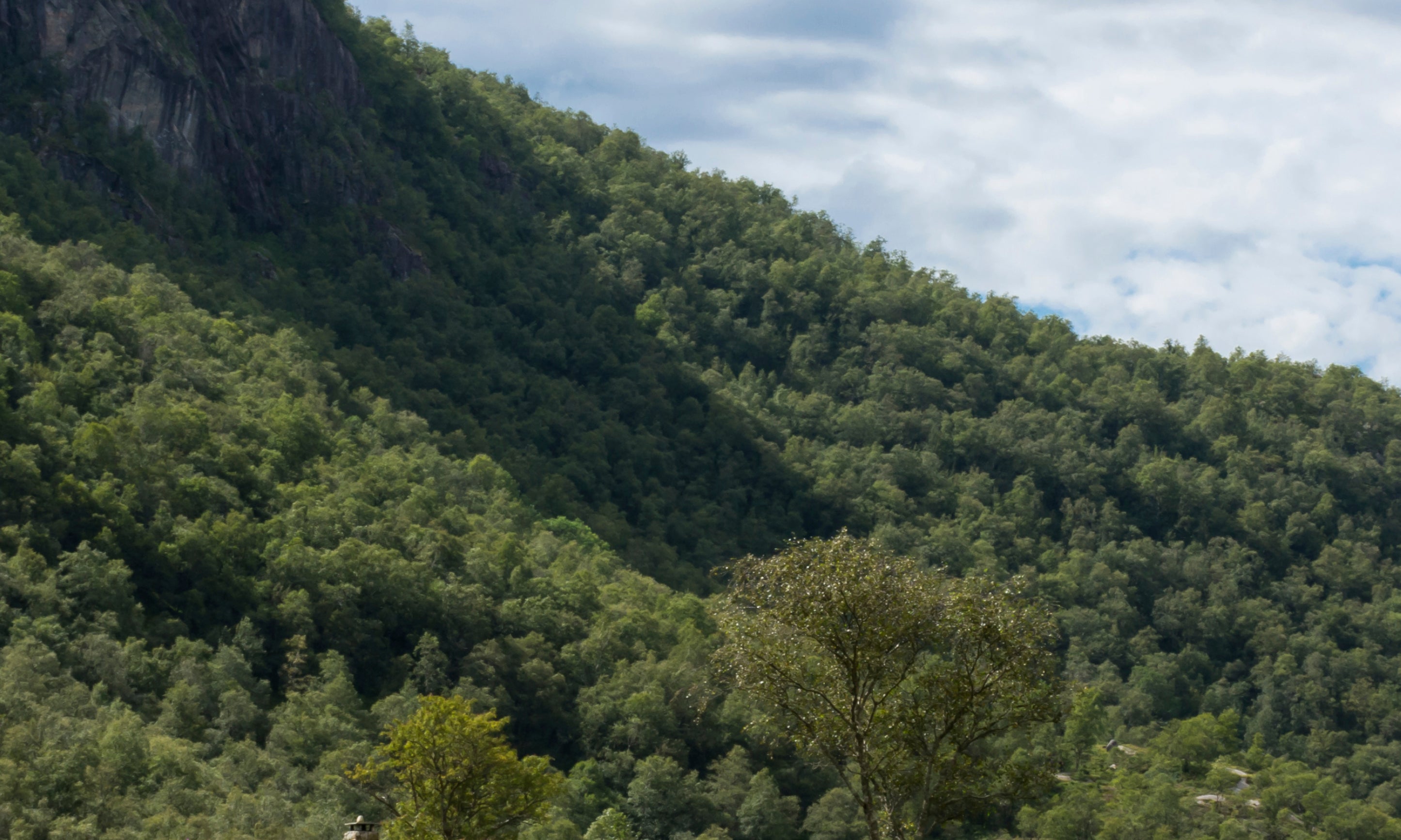 Nature_sNest-100x150cm.jpg