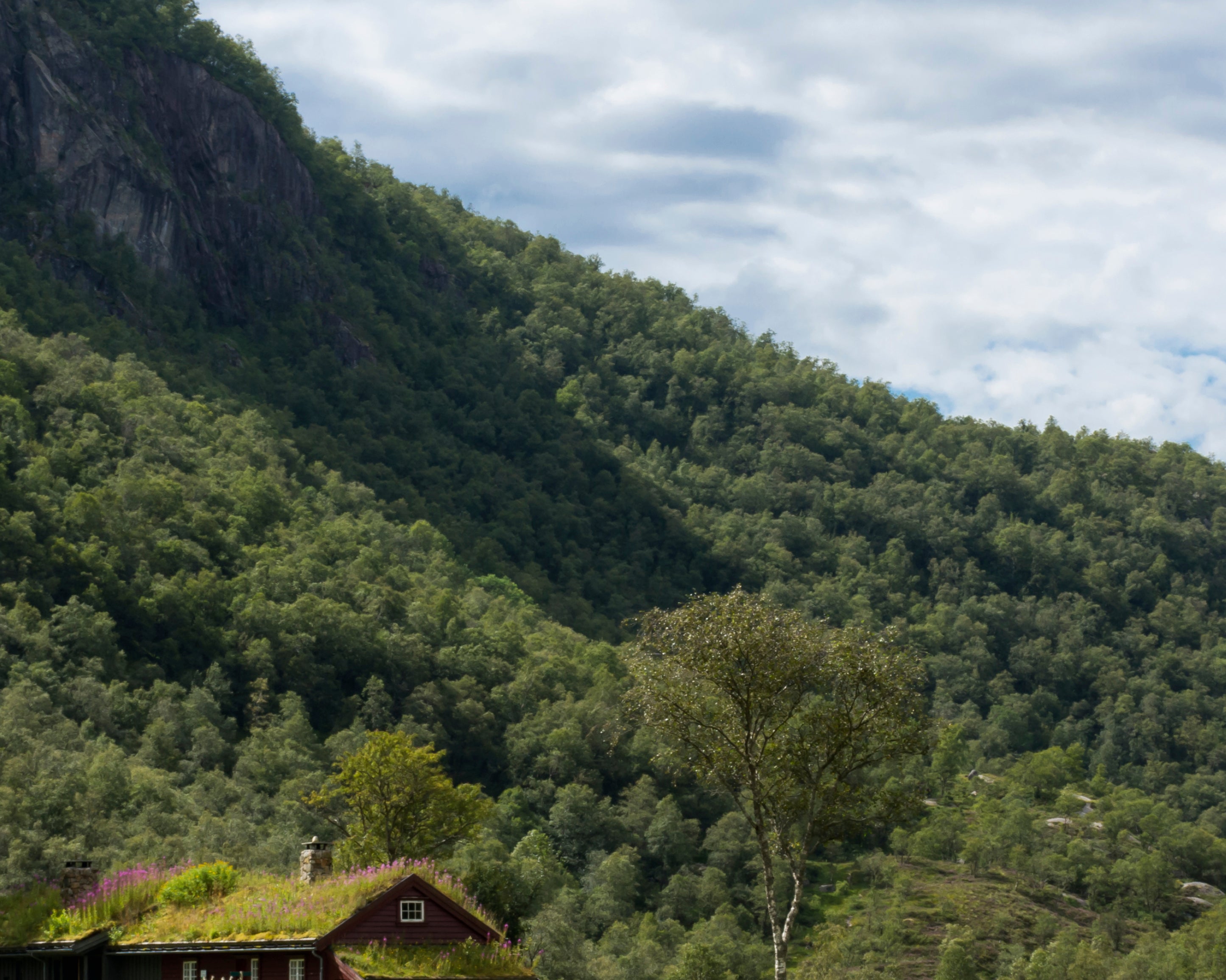 Nature_sNest-100x150cm.jpg