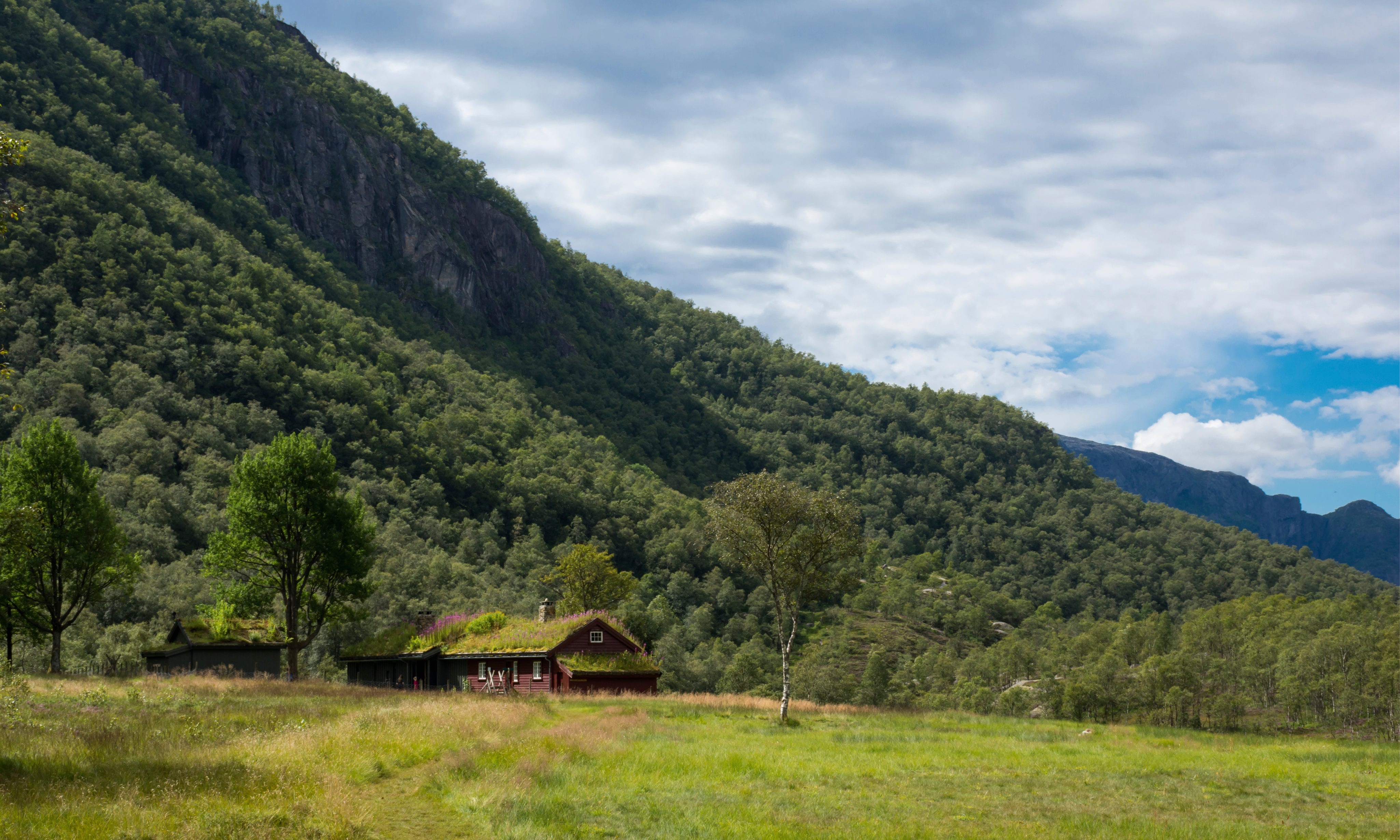 Nature_sNest-150x100cm.jpg