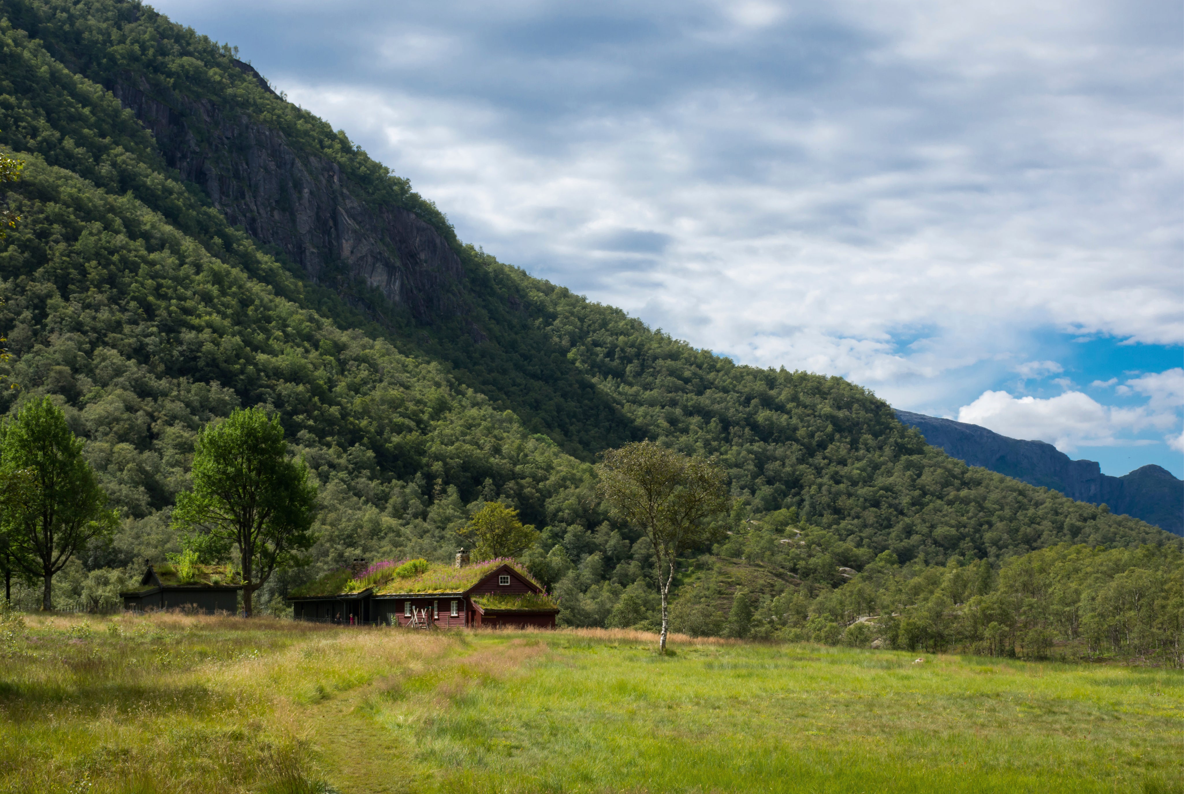 Nature_sNest-150x100cm.jpg