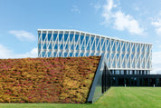 Nordicrise