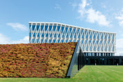 Nordicrise