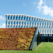 Nordicrise