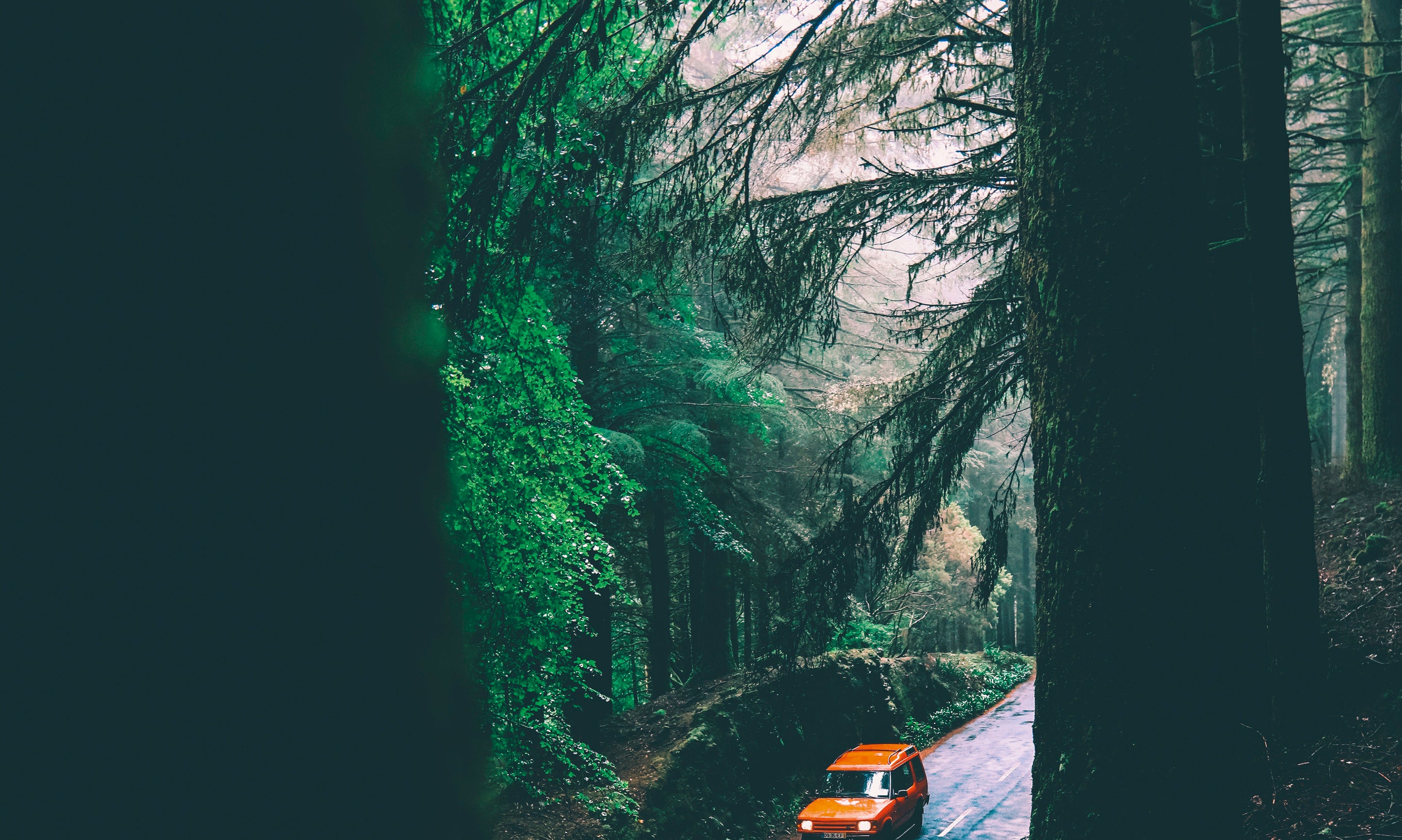 Orangejourney-100x150cm.jpg