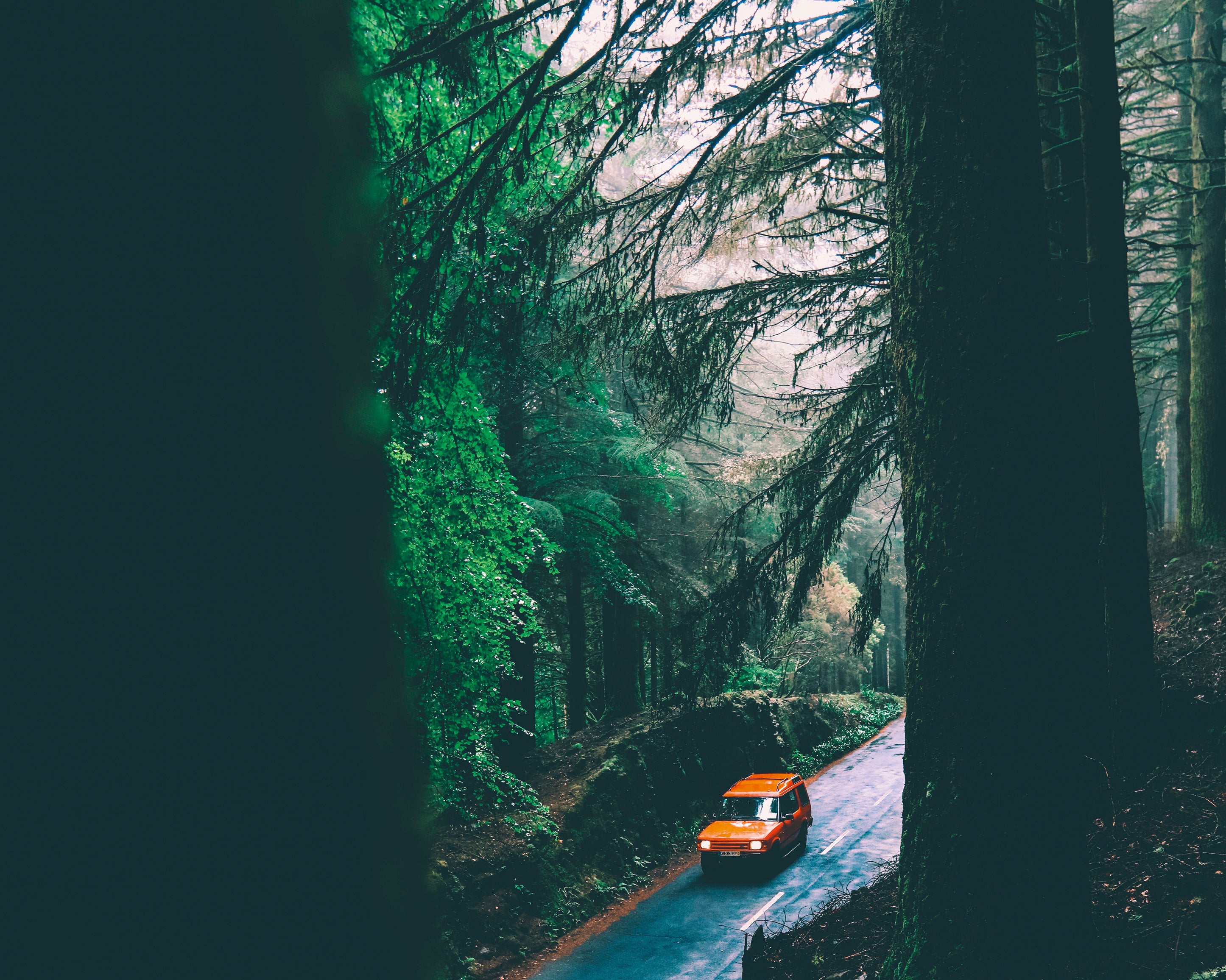 Orangejourney-100x150cm.jpg