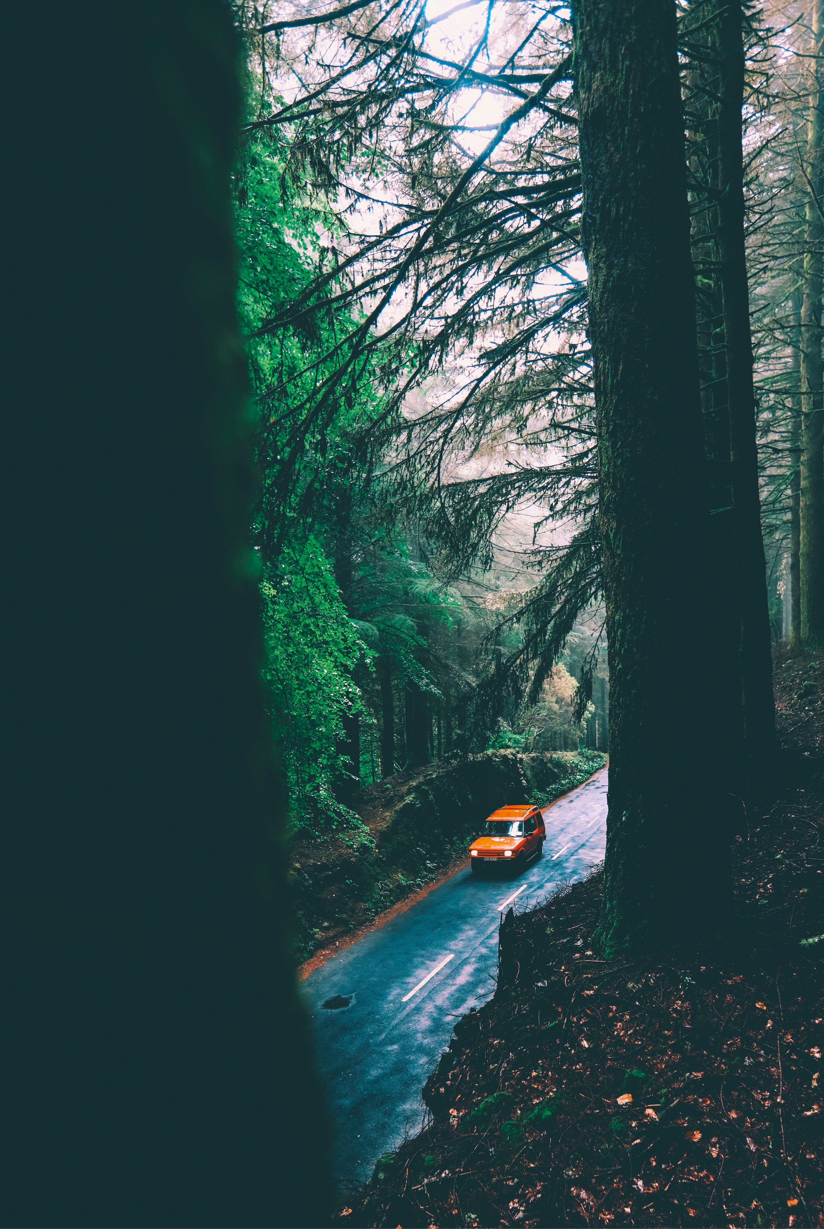Orange journey