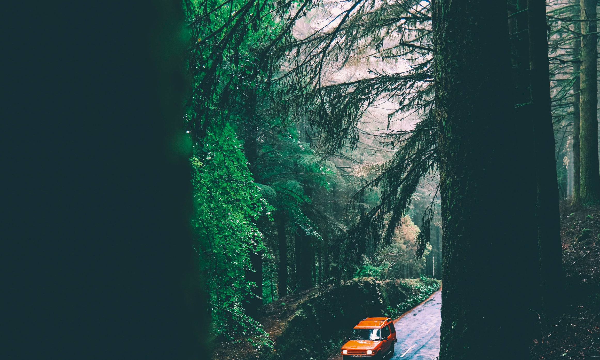 Orangejourney-80x80cm.jpg