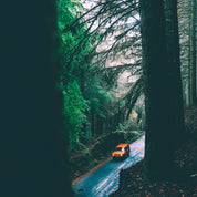 Orange journey