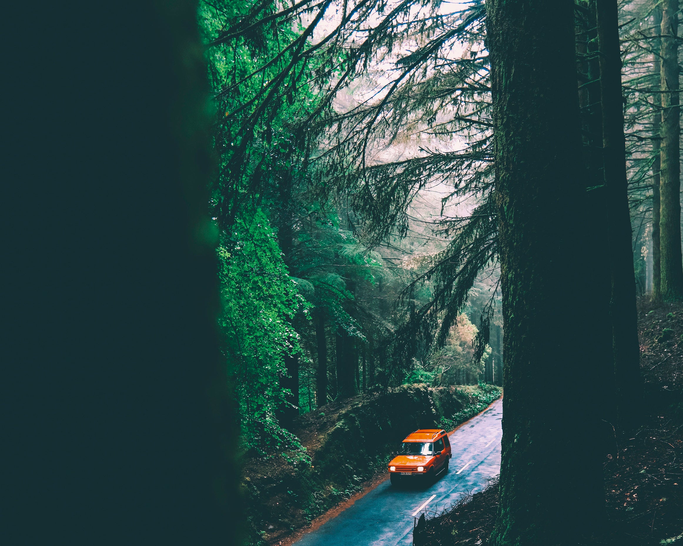 Orangejourney-80x80cm.jpg