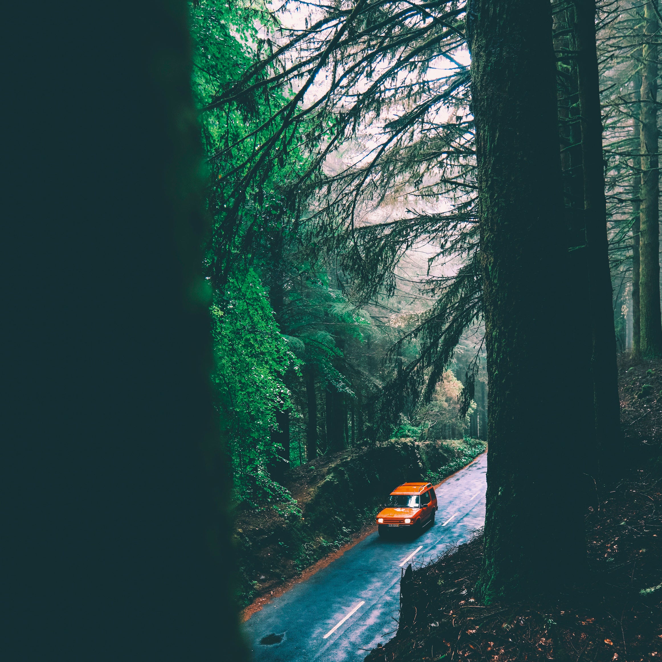 Orange journey