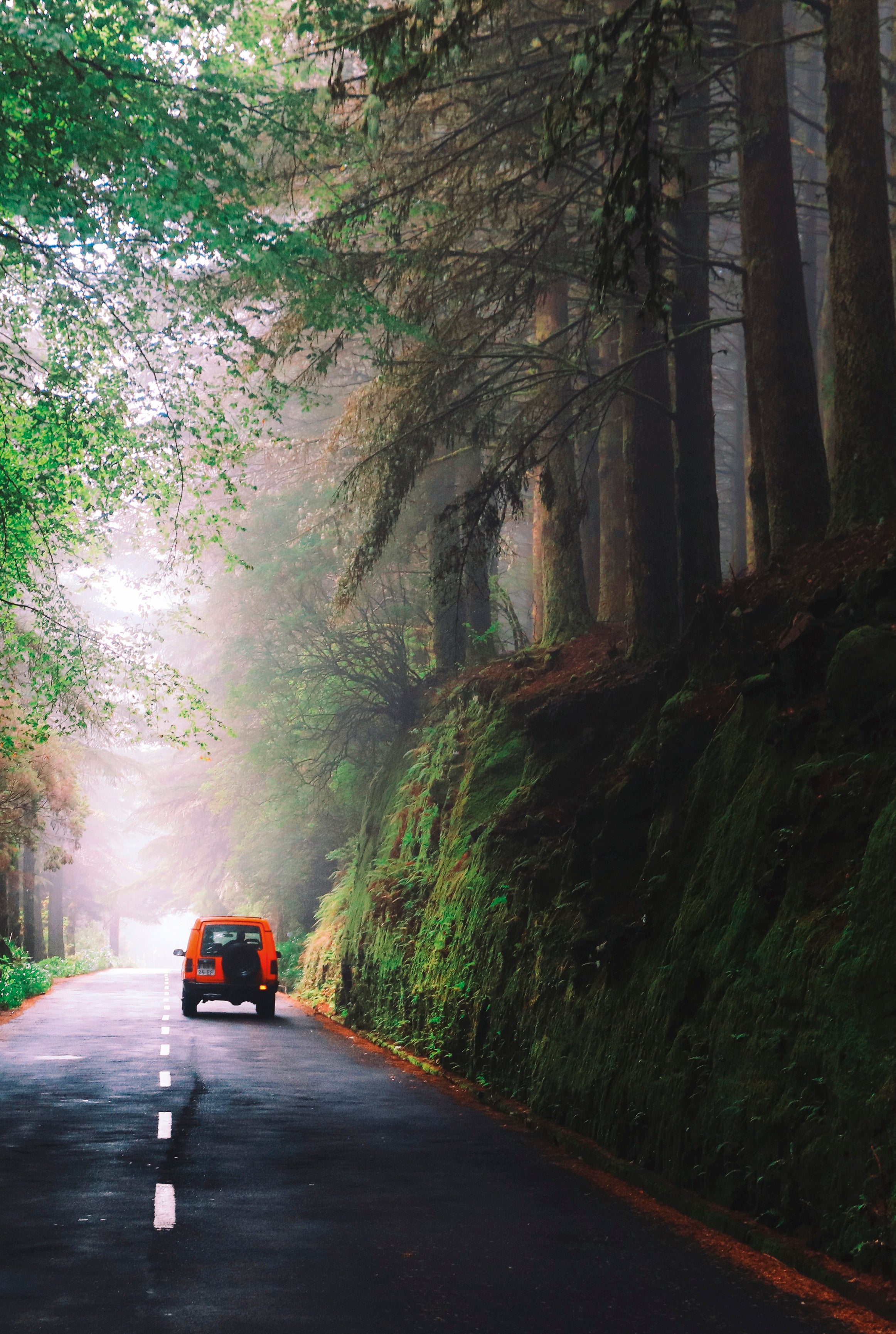 Orange journey carries on