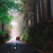 Orange journey carries on