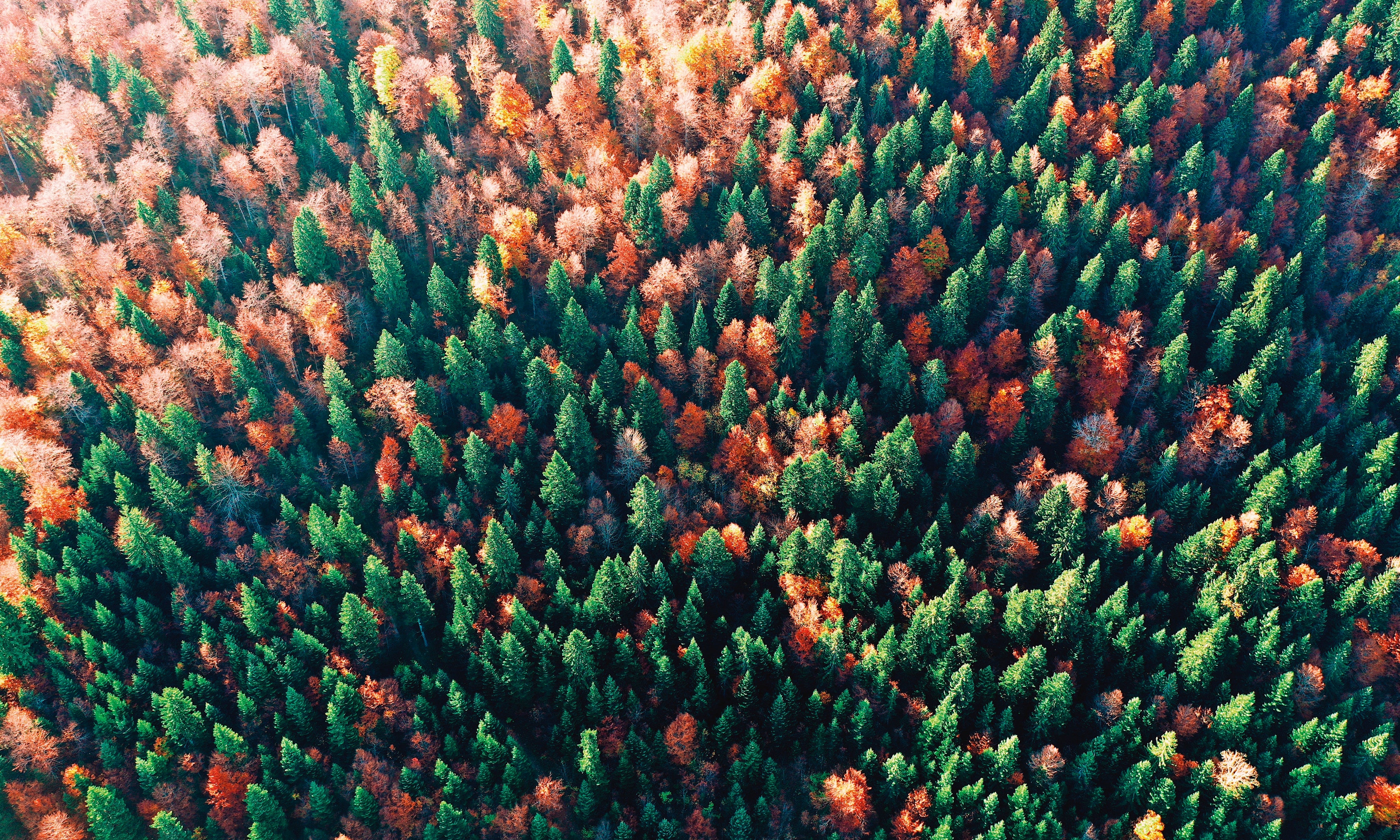 Paletteoffall-150x100cm.jpg