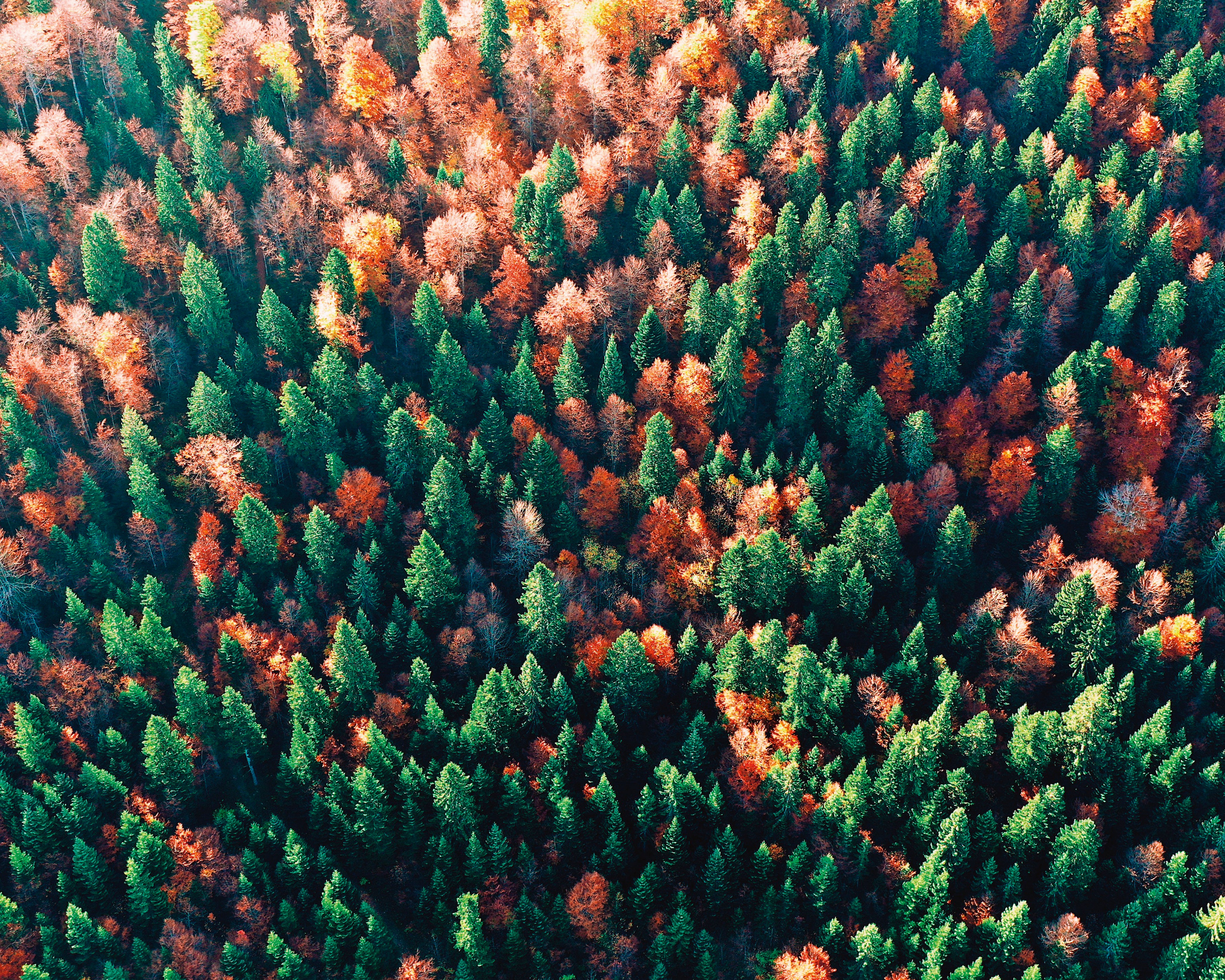 Paletteoffall-150x150cm.jpg