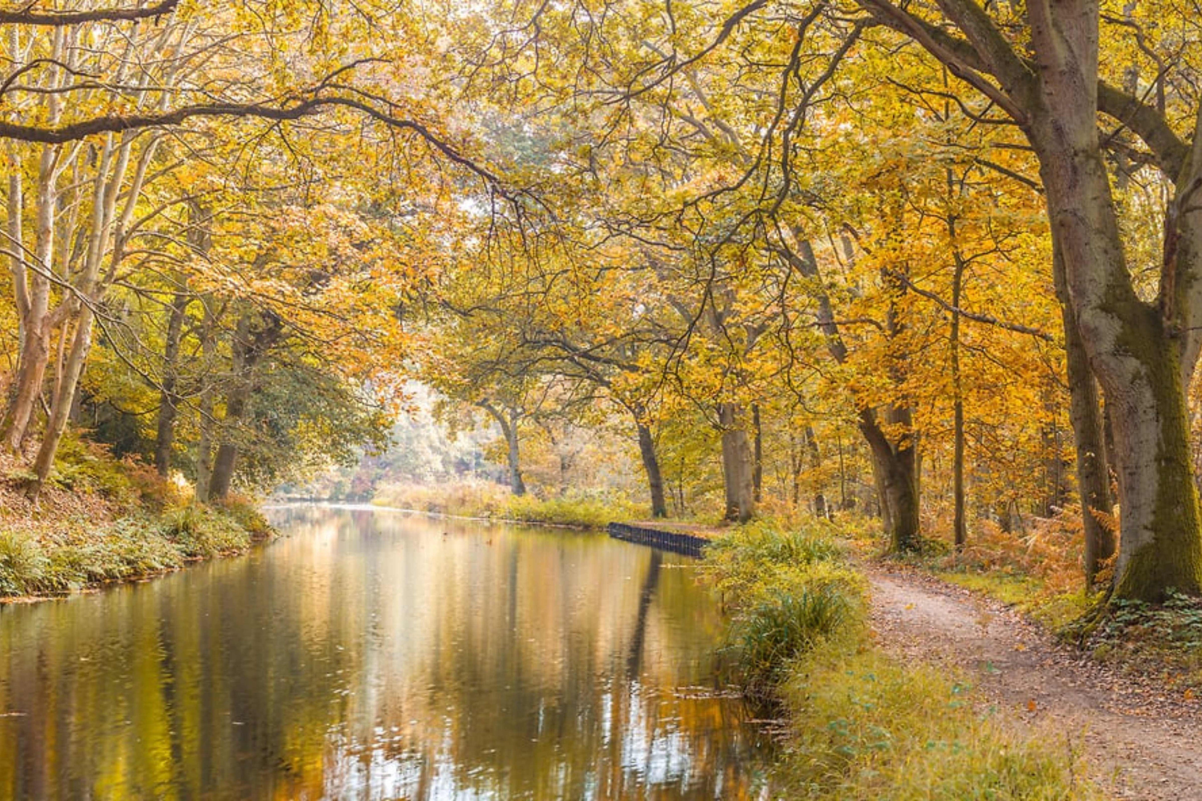 Peaceful forest canal