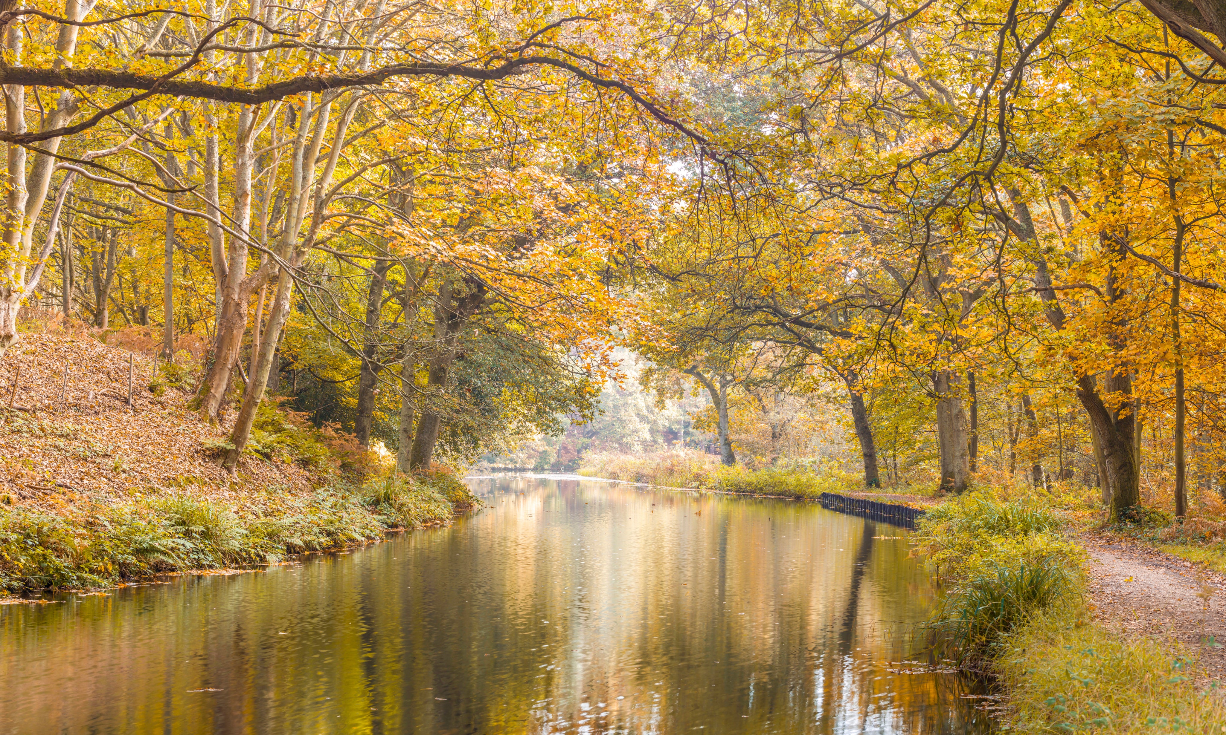 Peacefulforestcanal-150x100cm_fc598051-7300-407b-be06-18f2f52b7c67.jpg