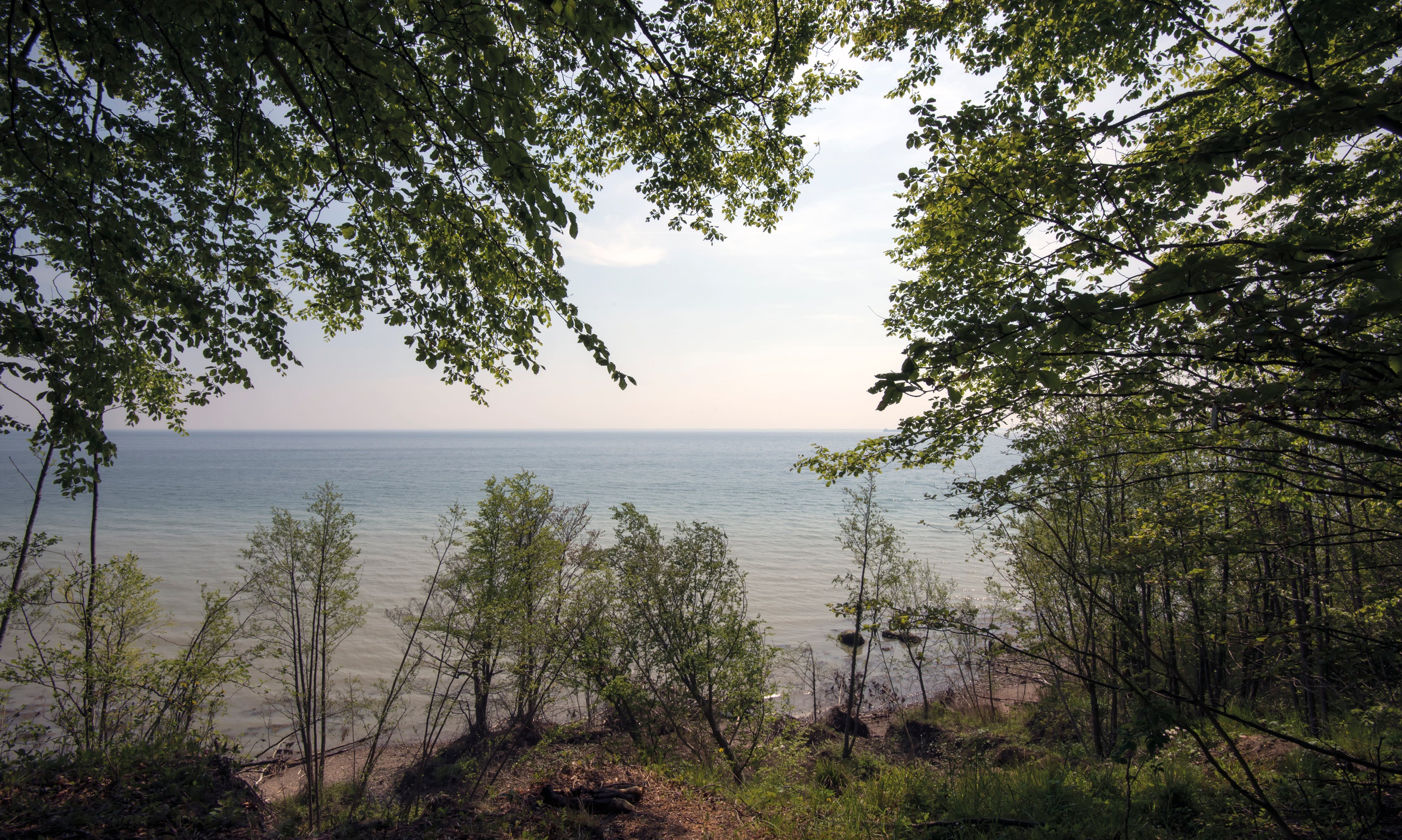 Peacefulhorizon-120x80cm.jpg