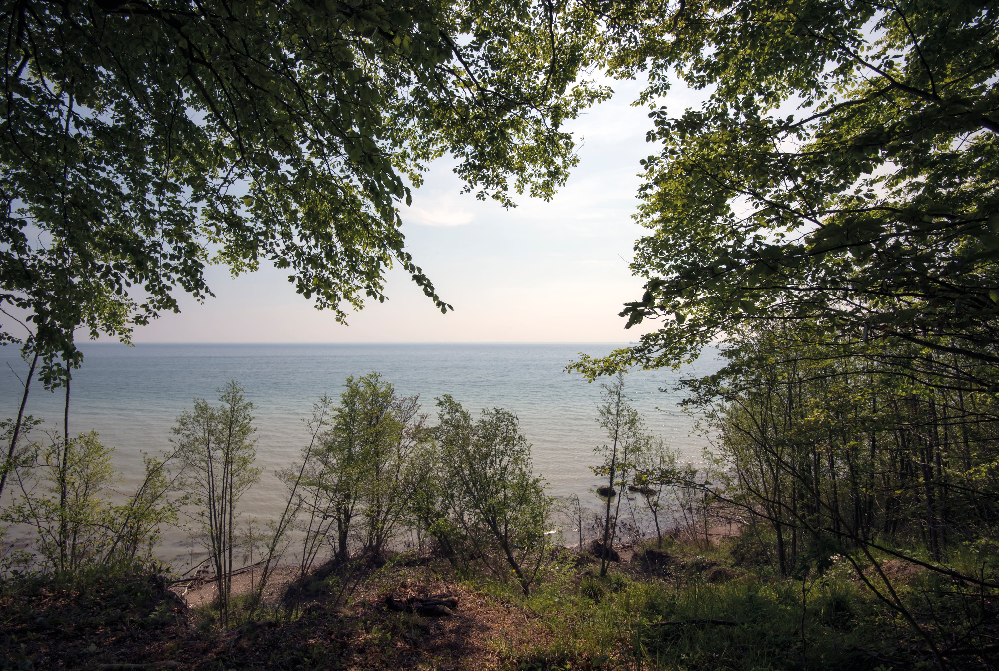 Peaceful horizon