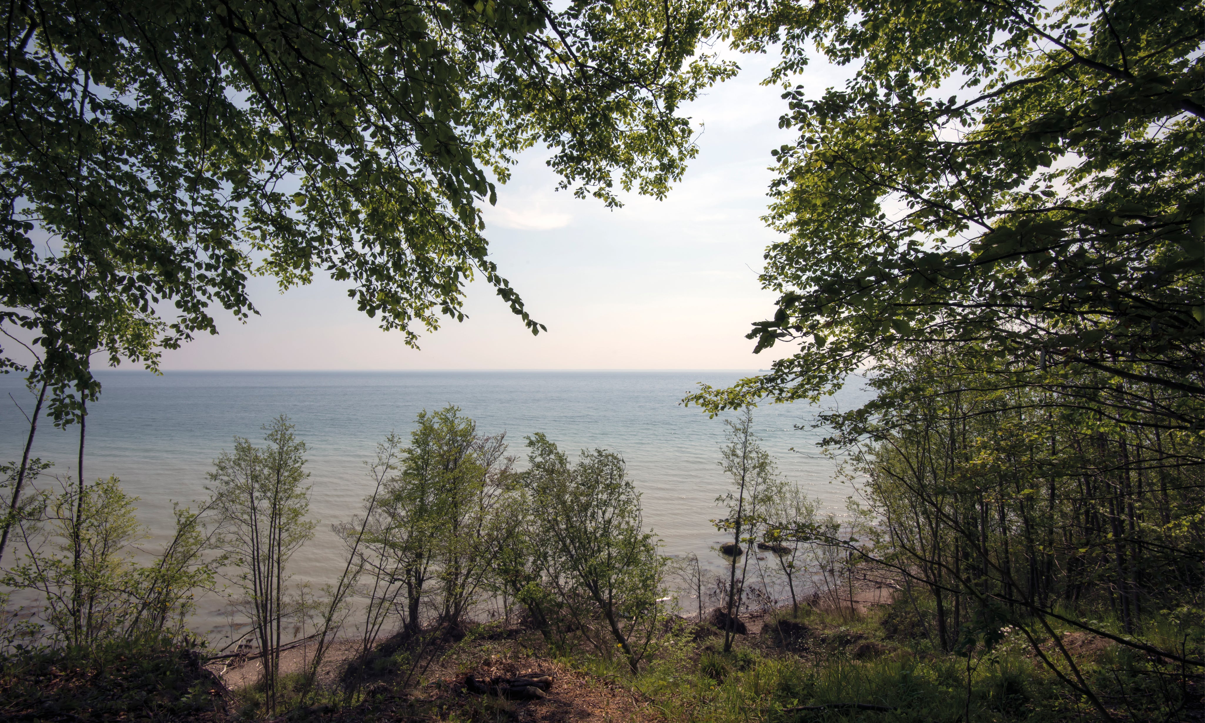 Peacefulhorizon-150x100cm.jpg