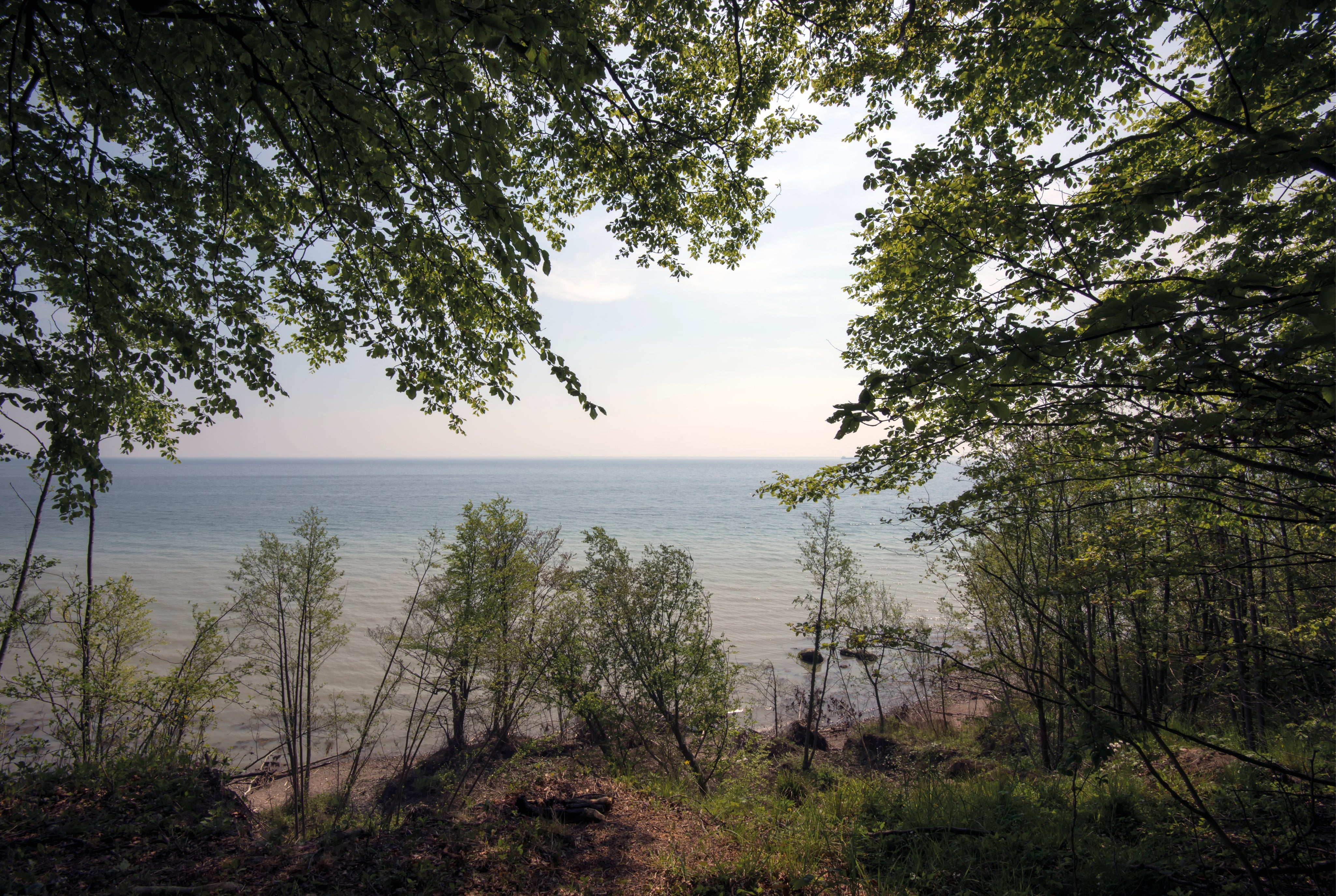 Peaceful horizon