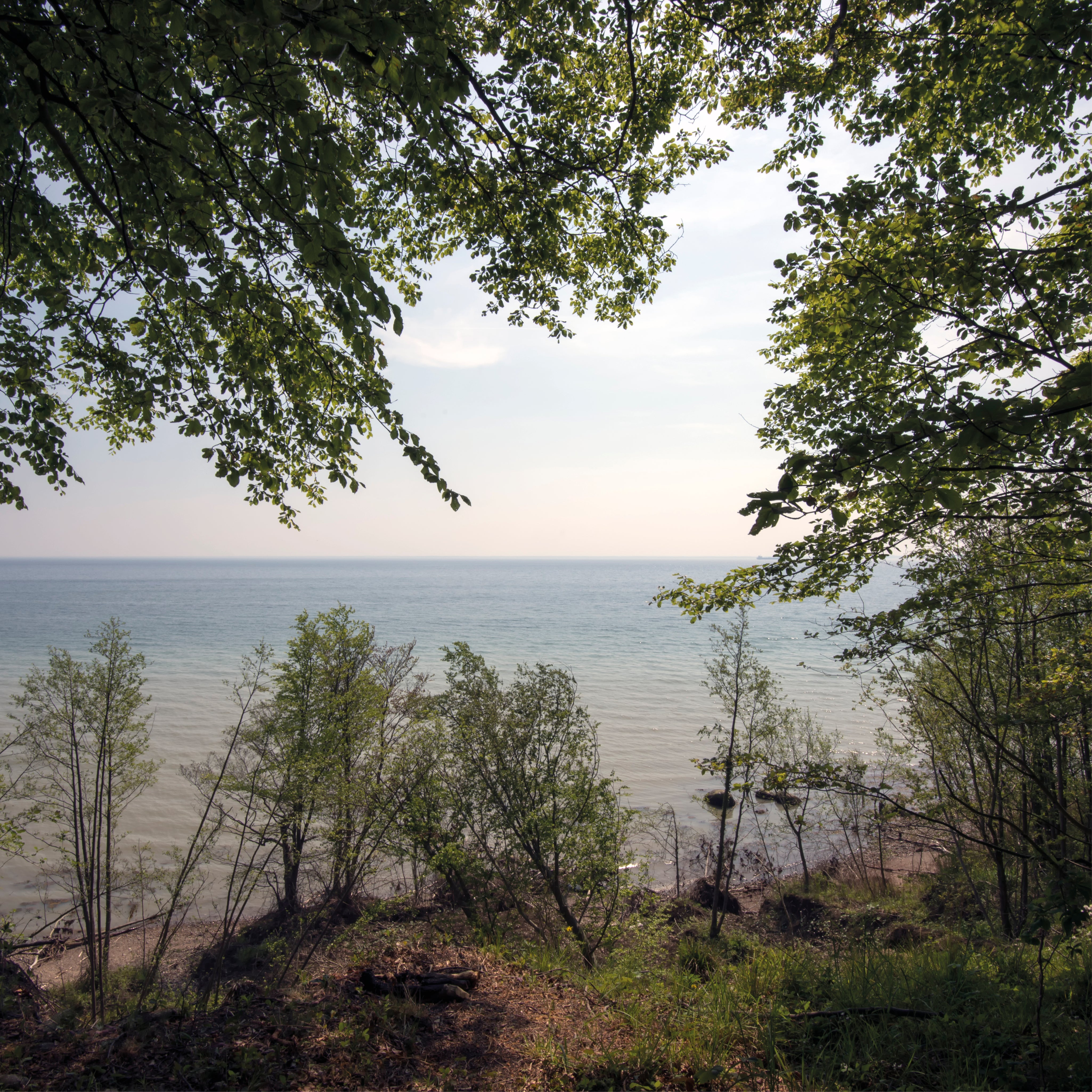 Peaceful horizon