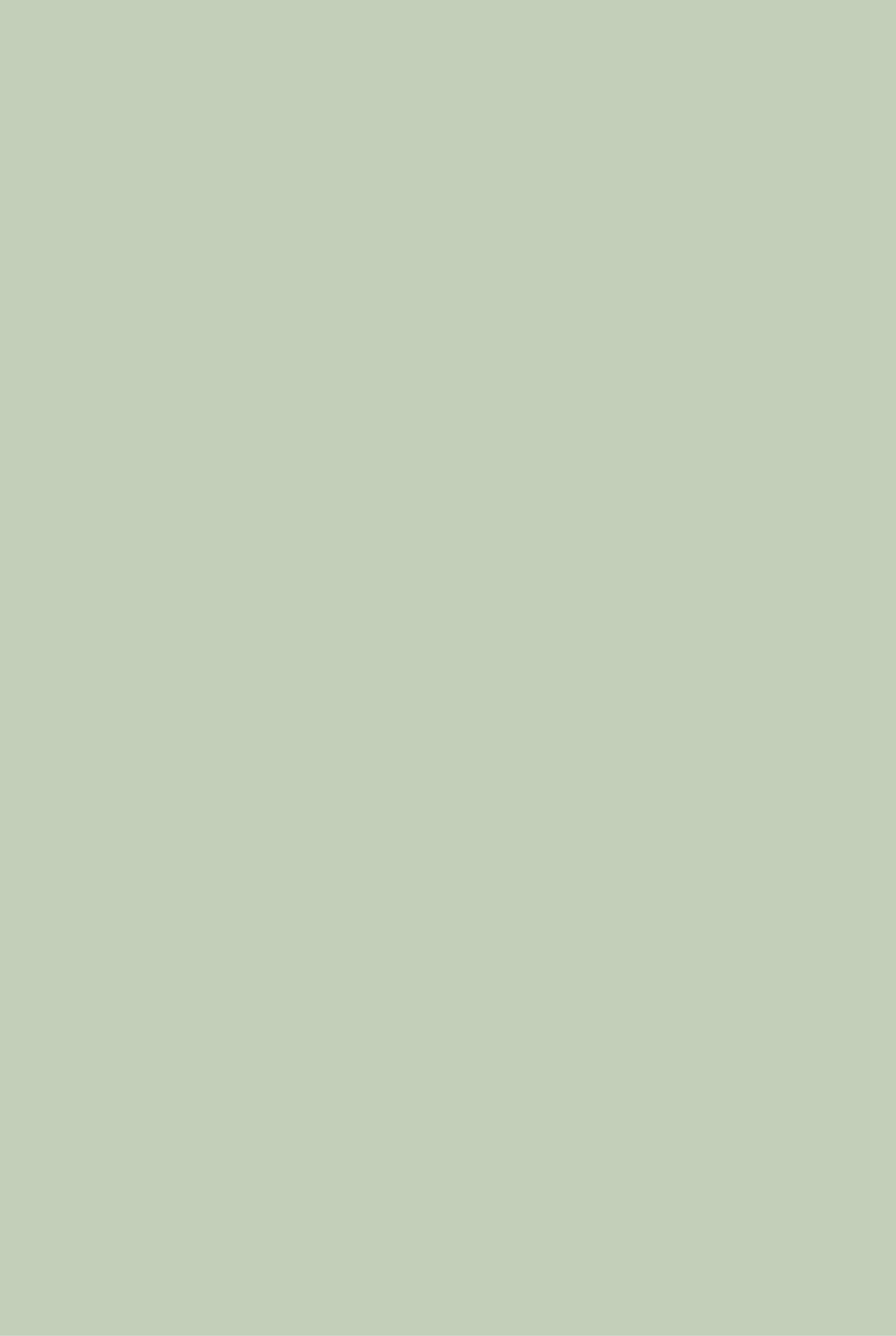 Pistachio calm