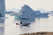 Polar ride