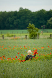 Poppy dreams