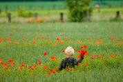 Poppy dreams