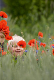Poppy joy