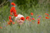Poppy joy