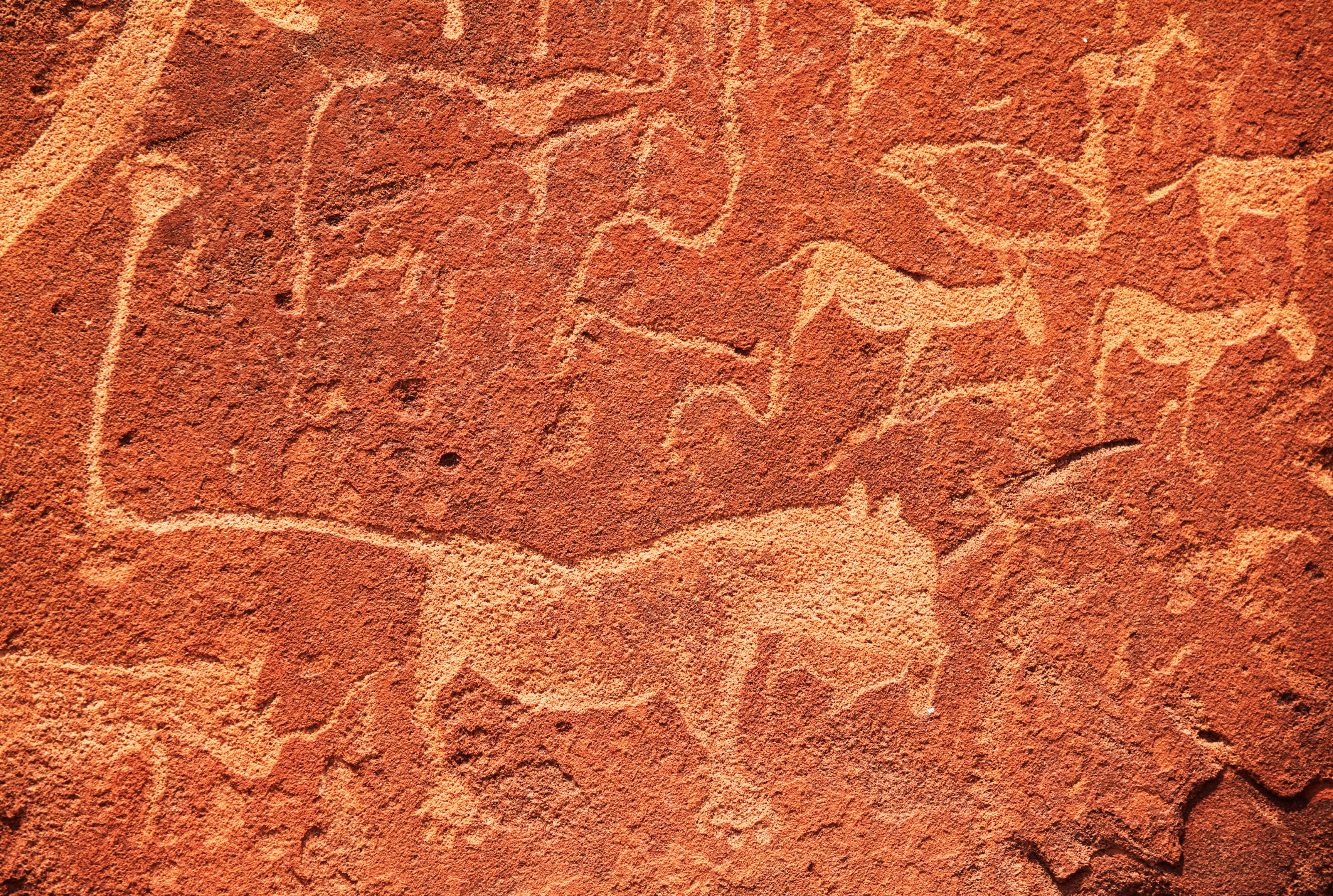 Pulseofthewild-120x80cm.jpg