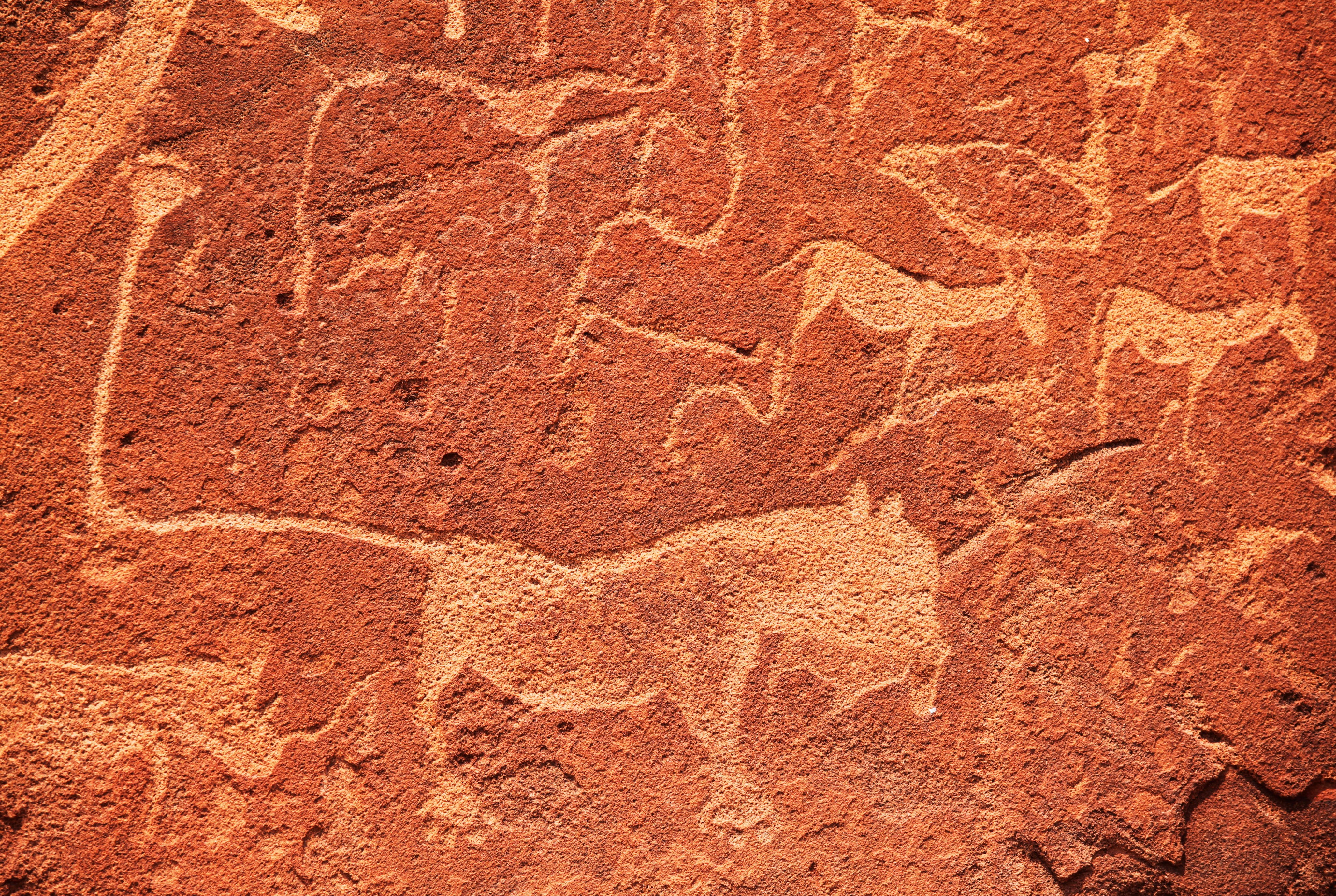 Pulseofthewild-150x100cm.jpg