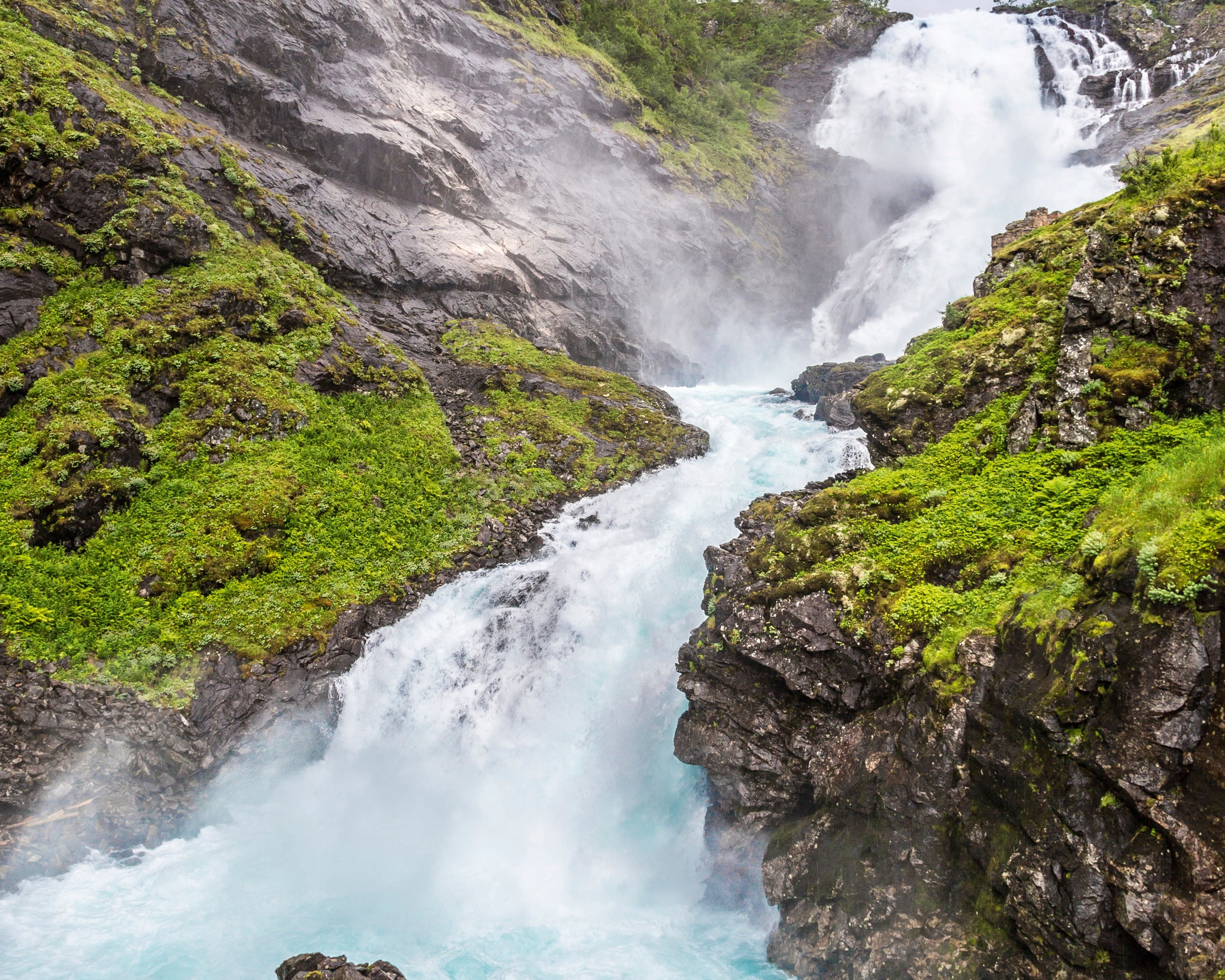 Purerush-80x120cm.jpg