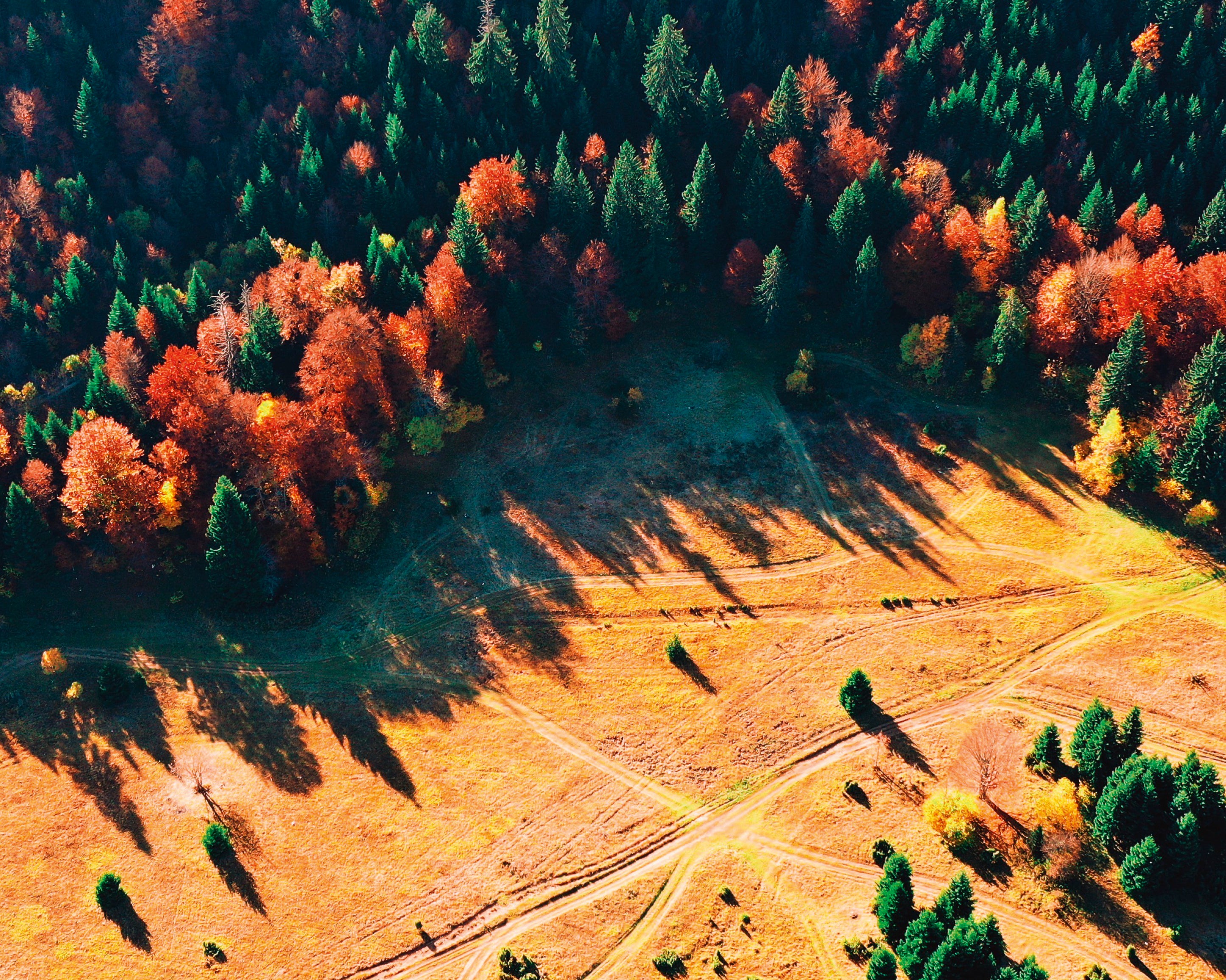 Quietbeneathleaves-100x150cm.jpg