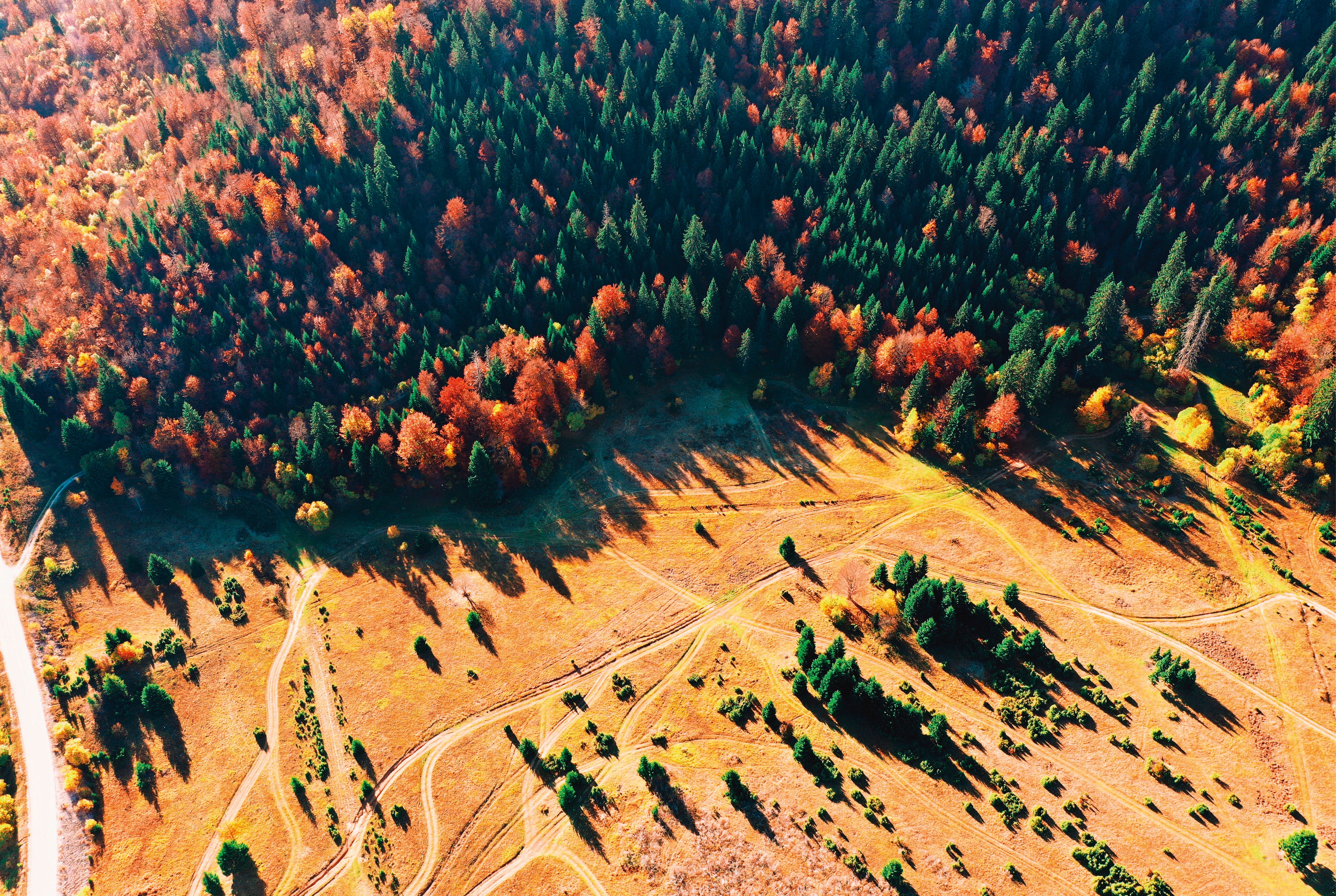 Quietbeneathleaves-150x100cm.jpg