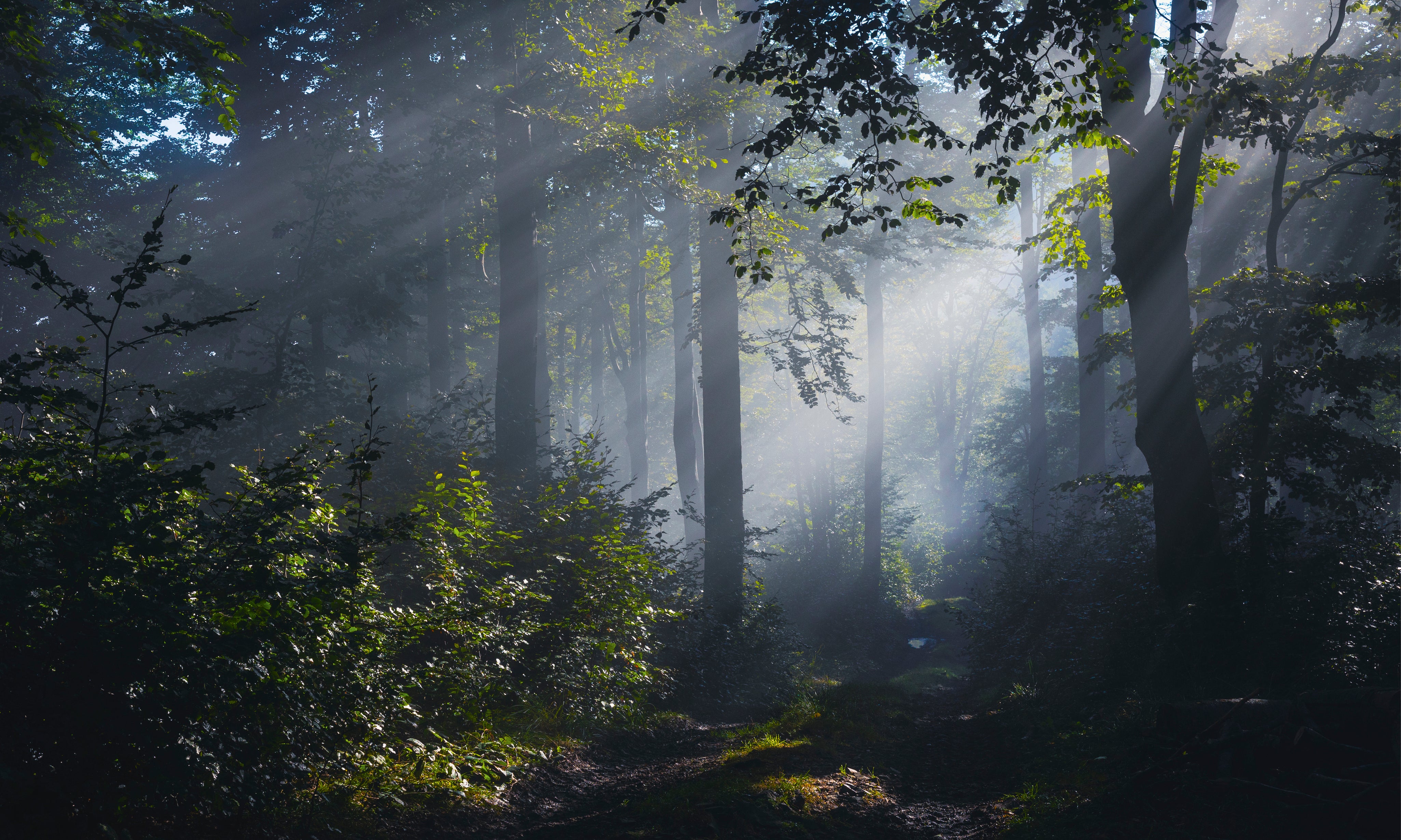 Raypath-150x100cm.jpg