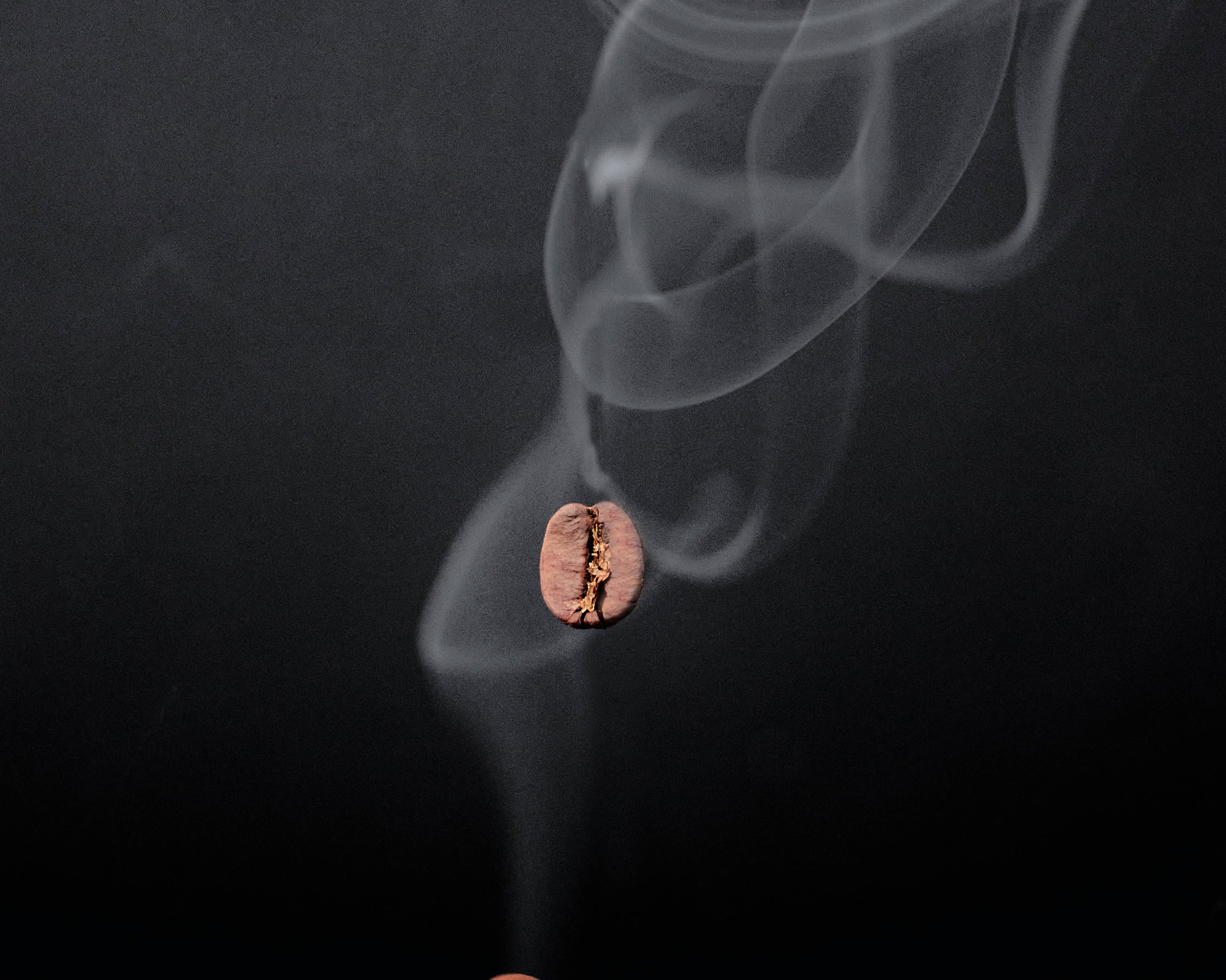 Risingaroma-100x150cm.jpg