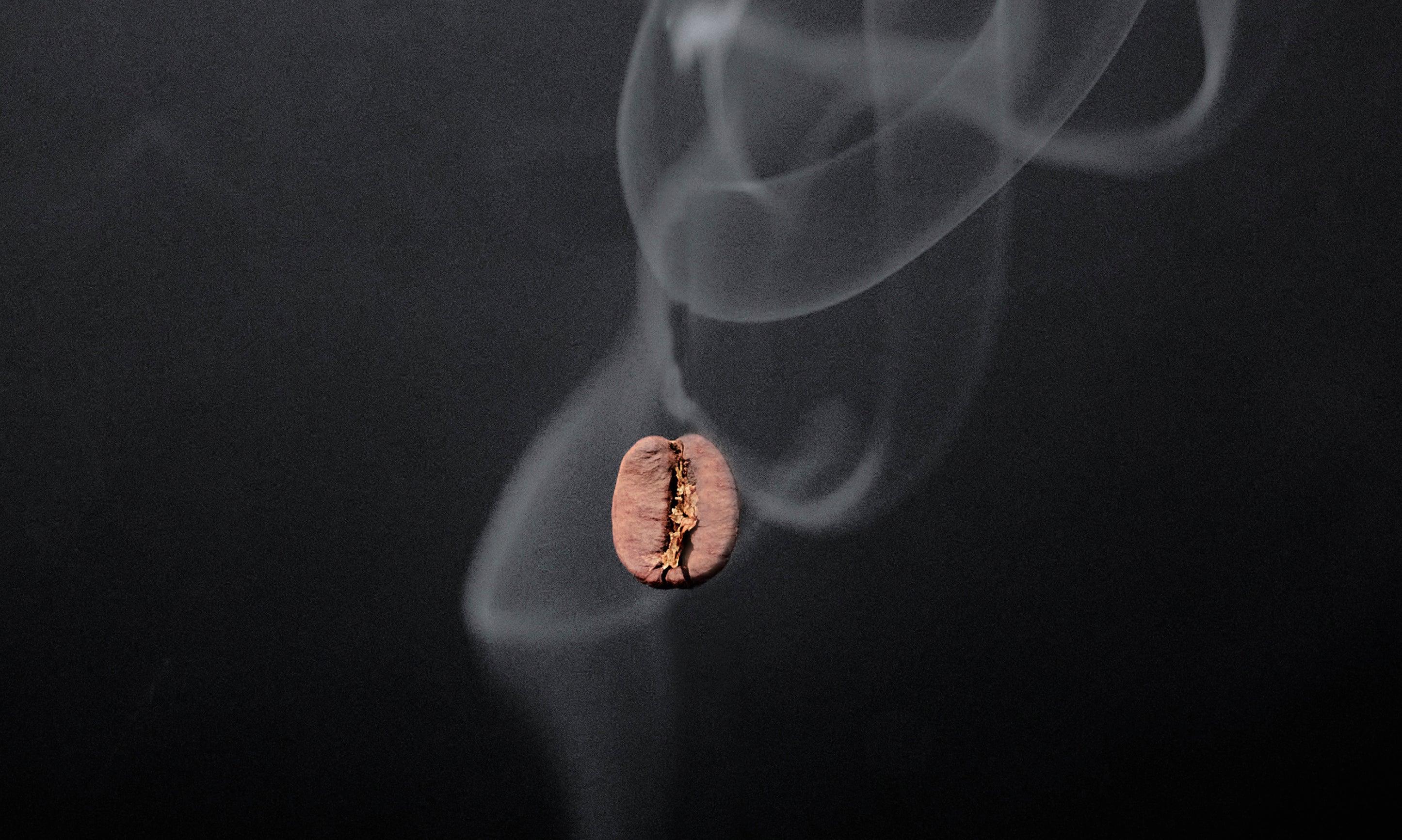 Risingaroma-100x160cm.jpg