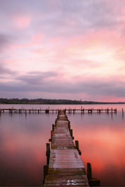 Rosy reflection