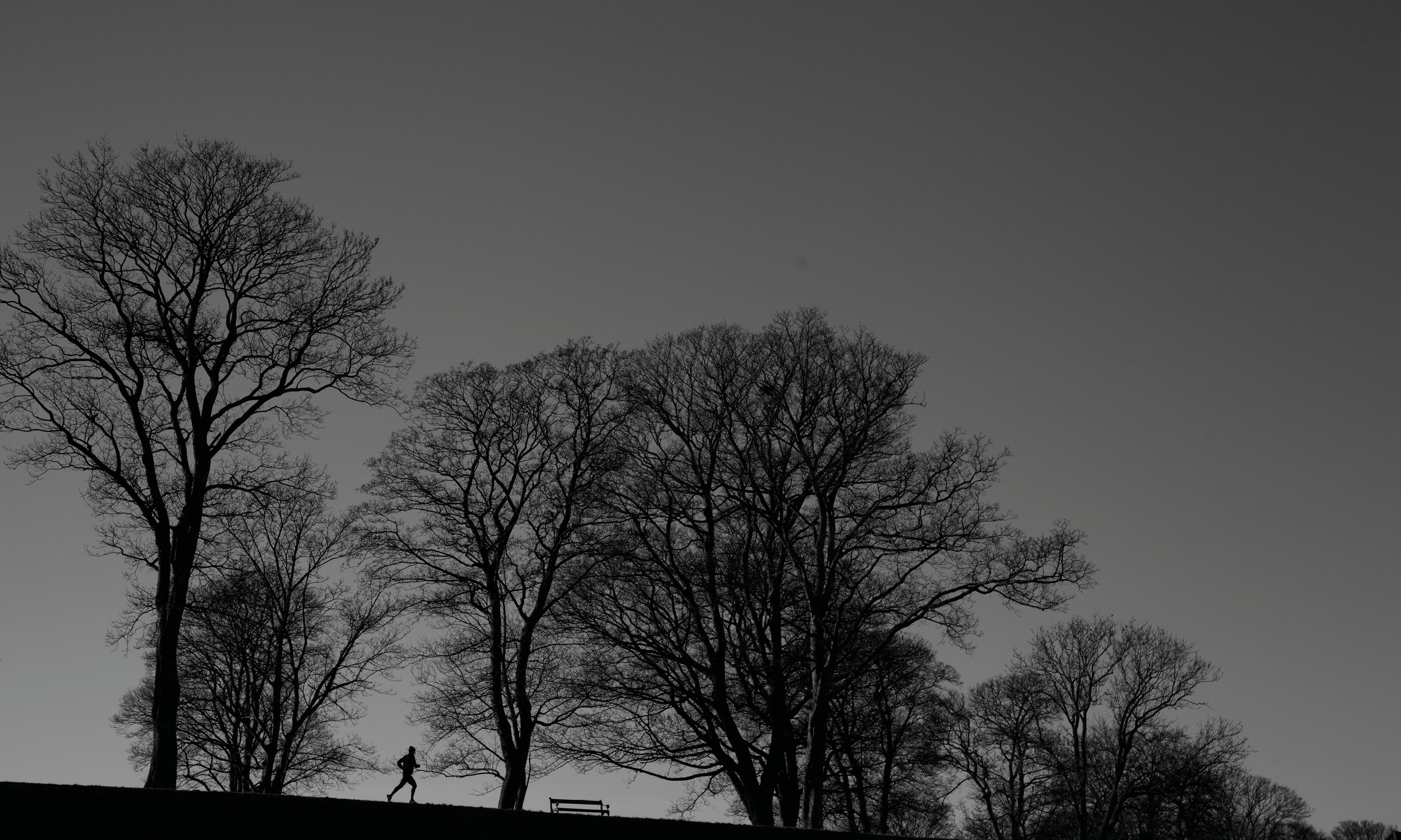 Runtheline-120x80cm.jpg