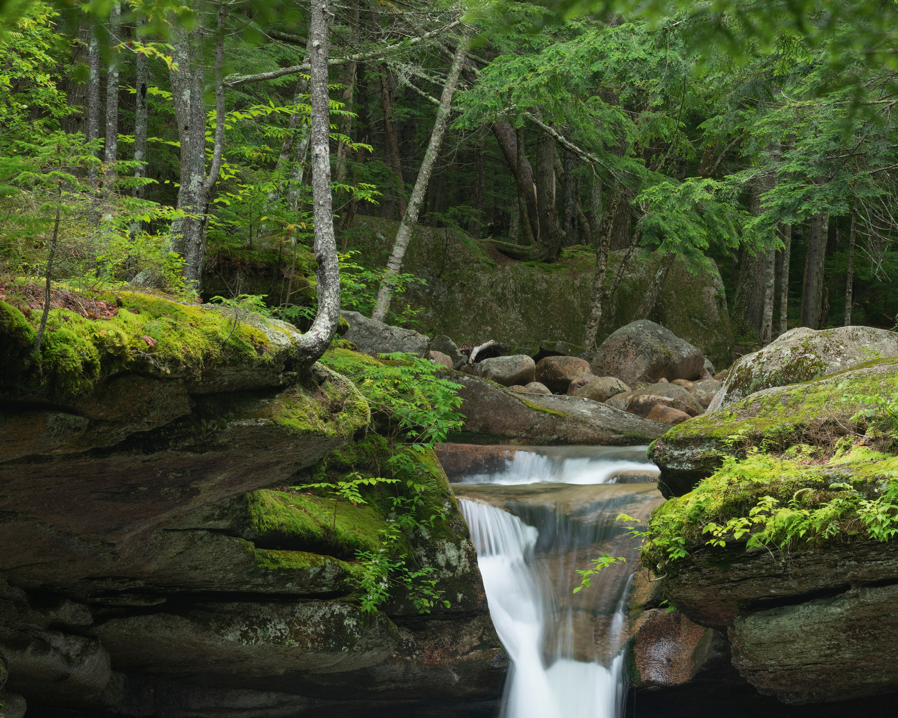 Sabbadayfalls-100x150cm.jpg